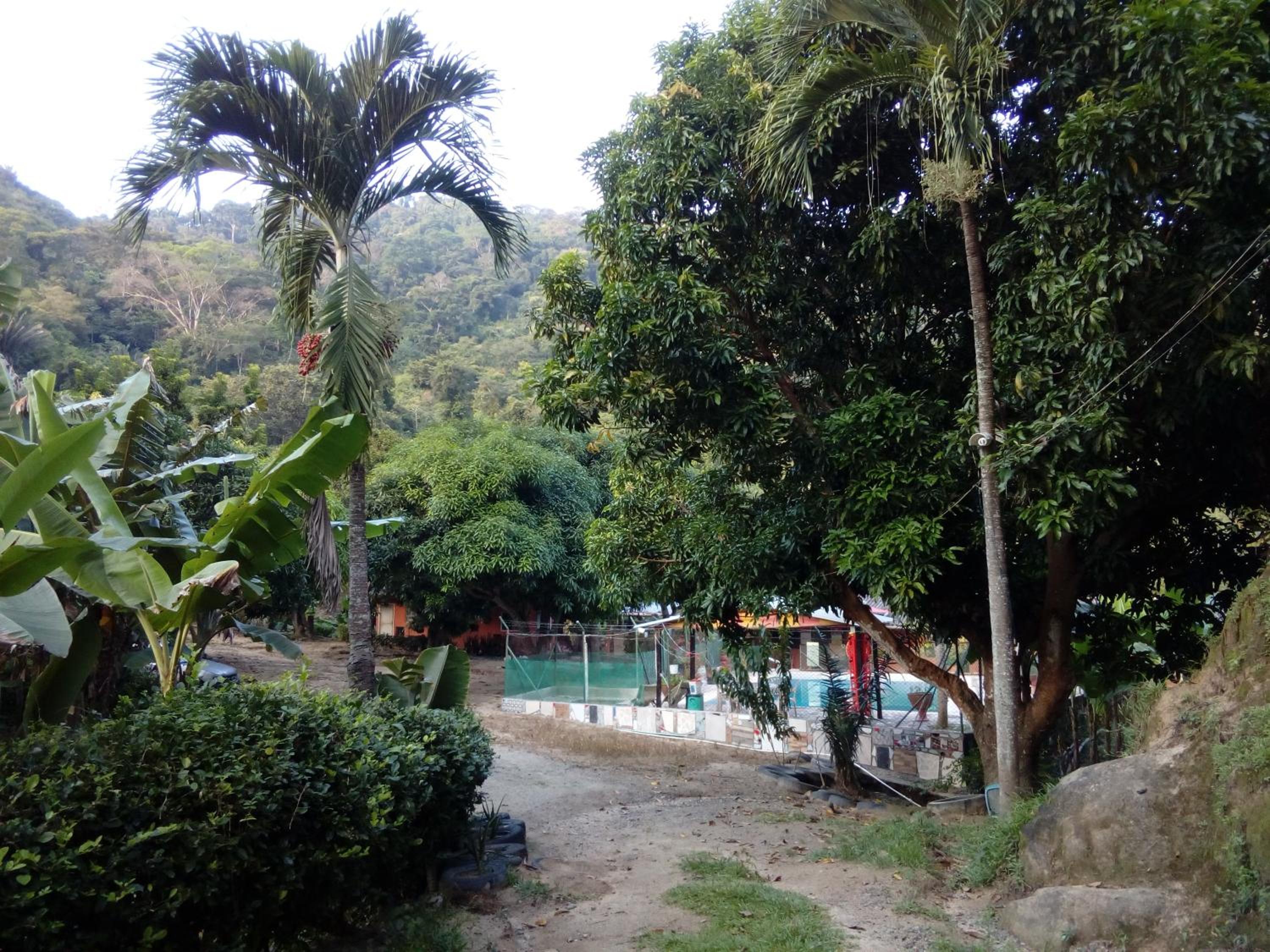 Photo 19