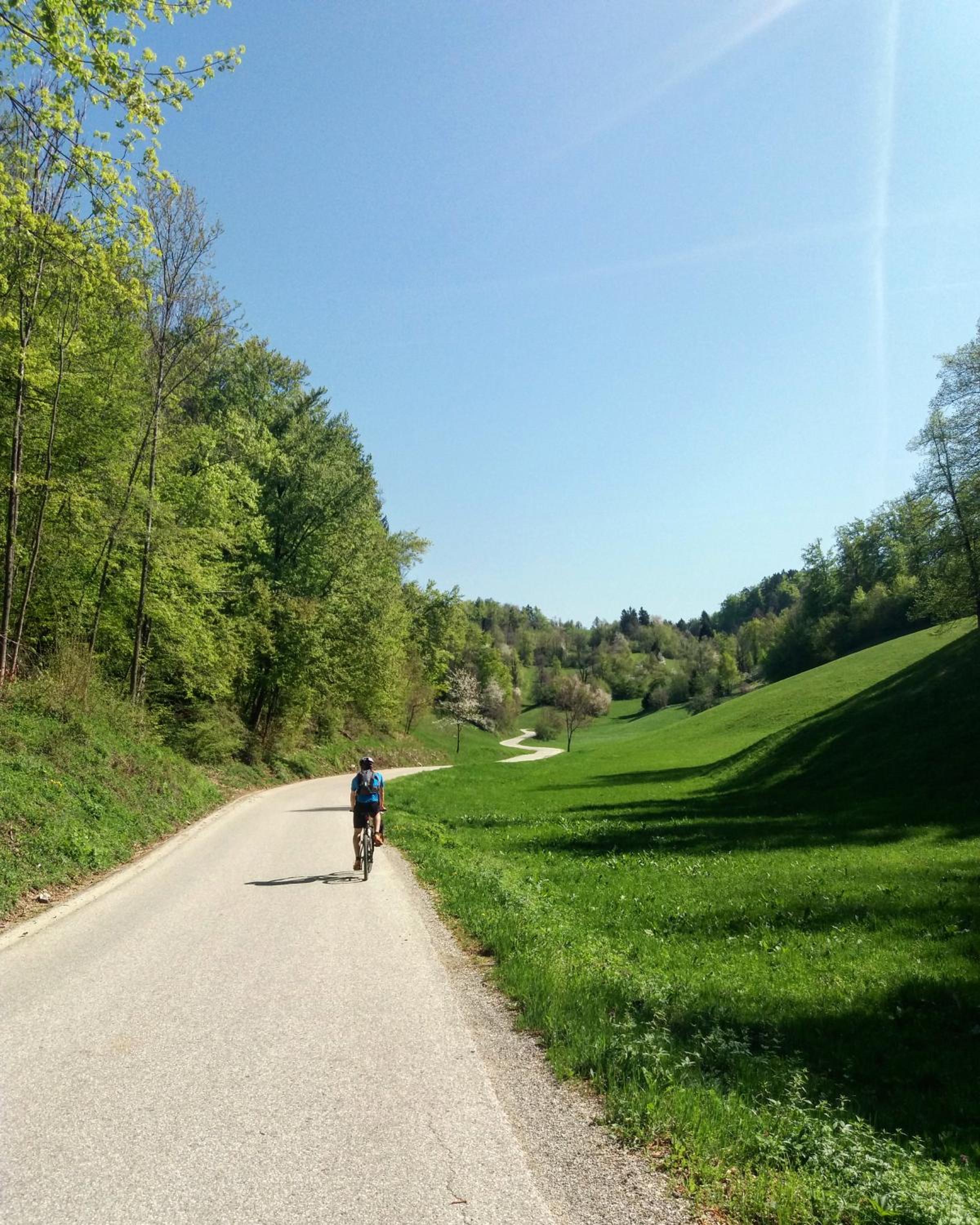 Photo 41