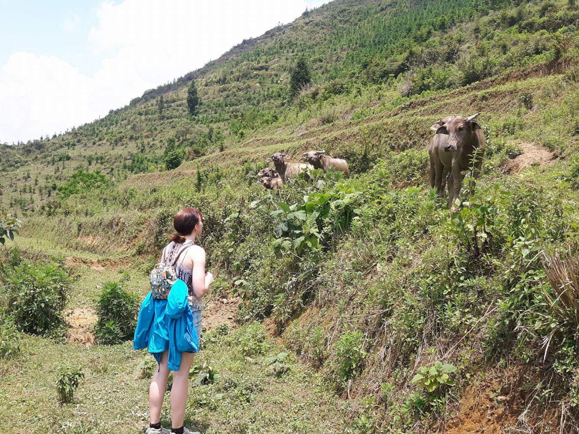 Flower hmong homestay