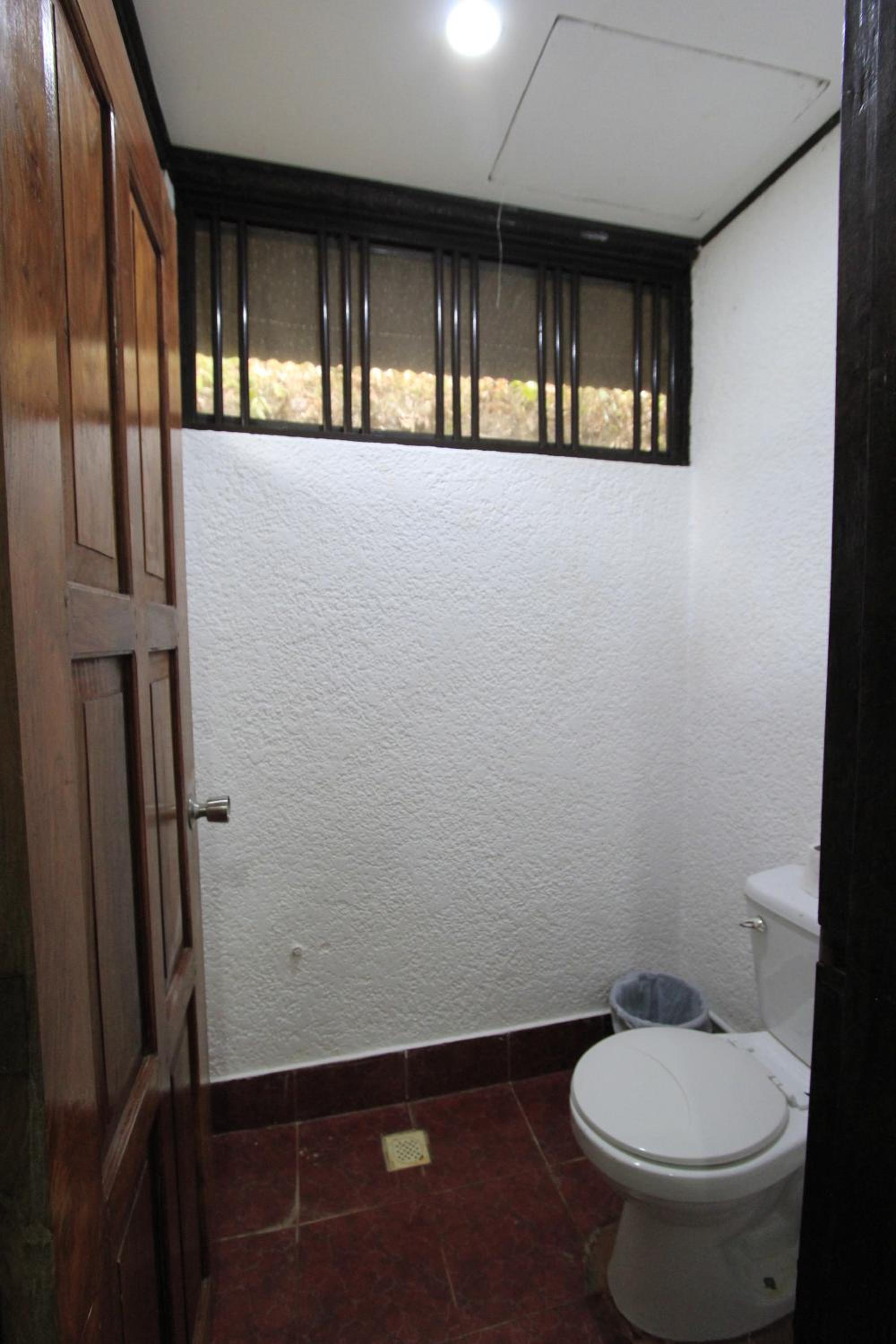 Photo 50