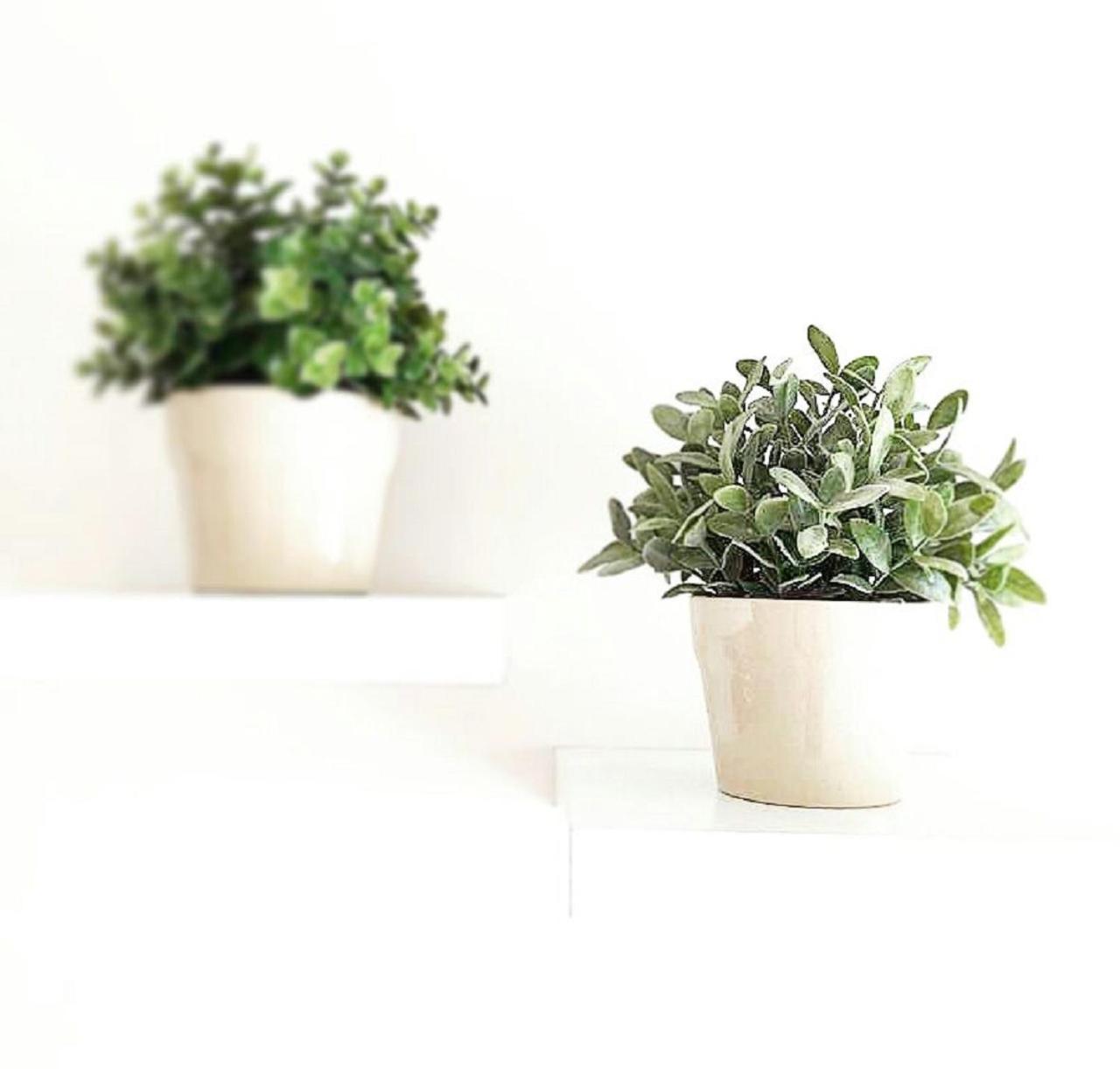 B&B La Suite Gallipoli photo 3