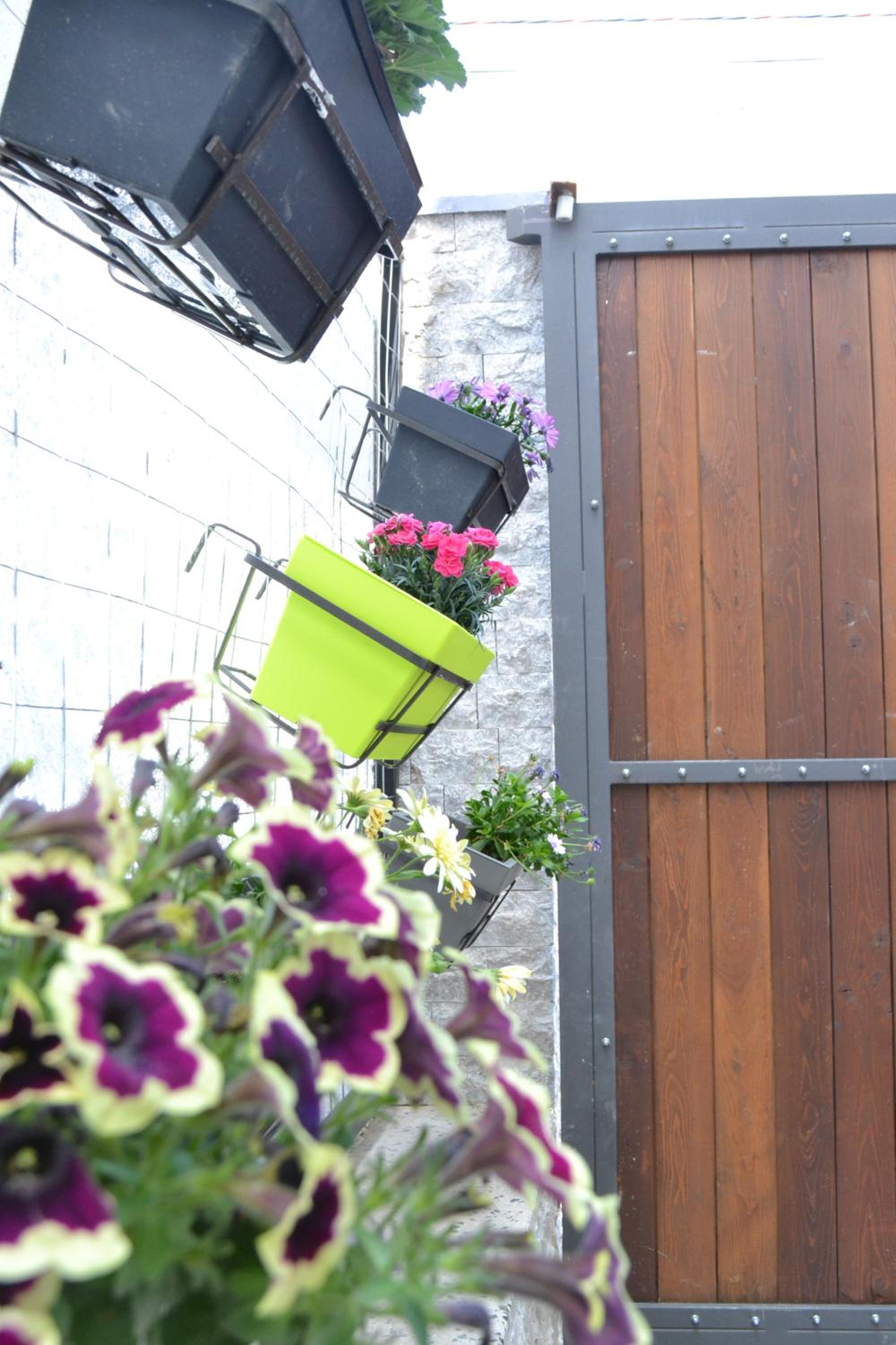 Open Doors Bed & Breakfast, photo 7