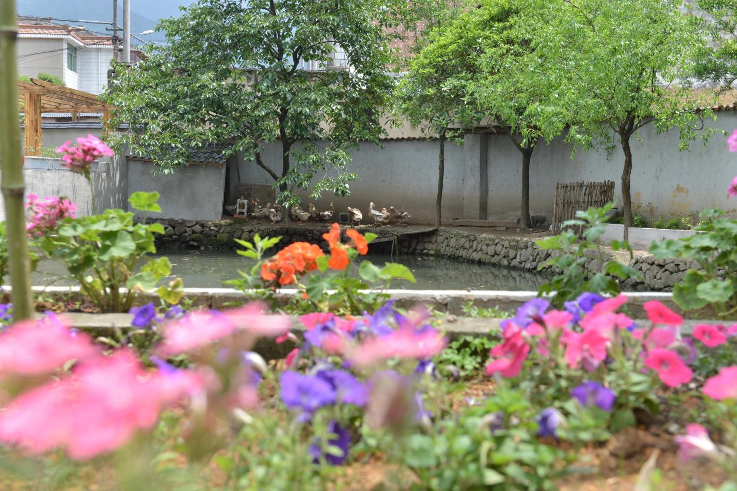 桐庐舍予民宿 Tonglu Sheyu Country House