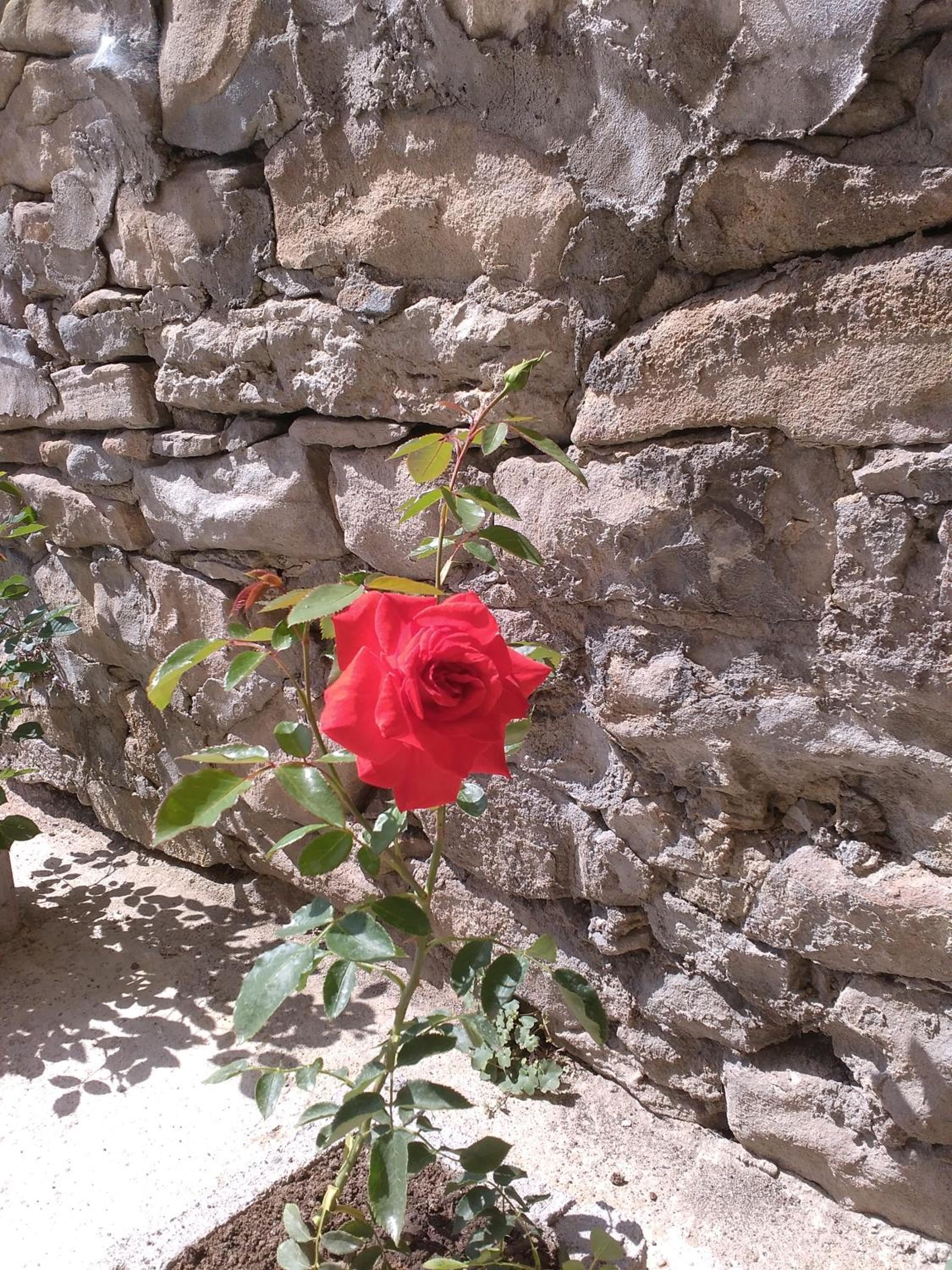 Photo 76