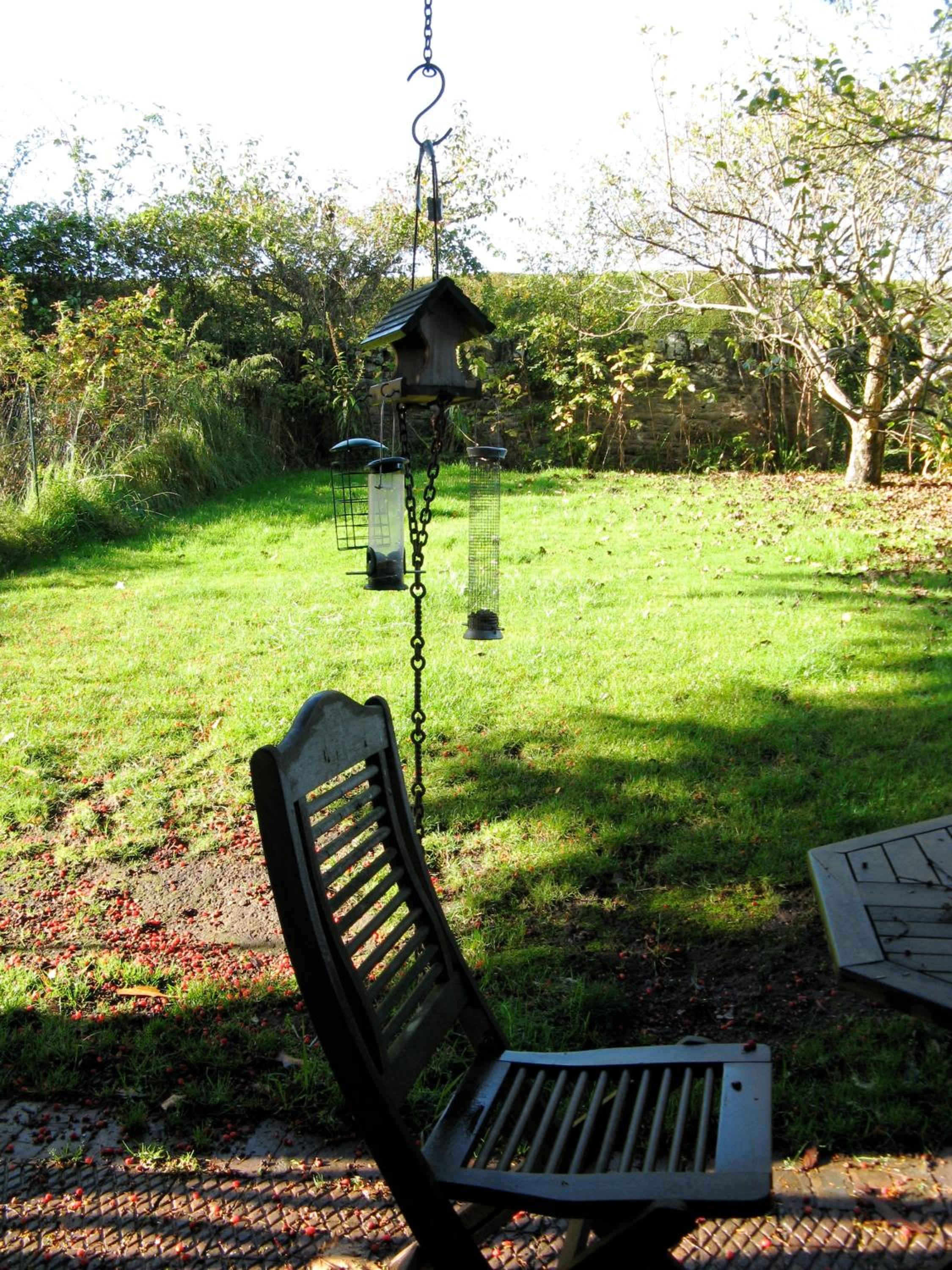 Photo 40