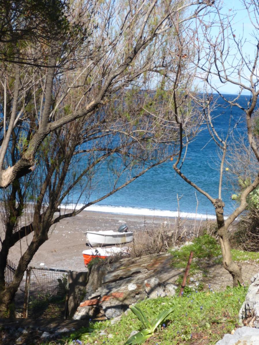 Cottage Stella-eco living-Evia island photo 4