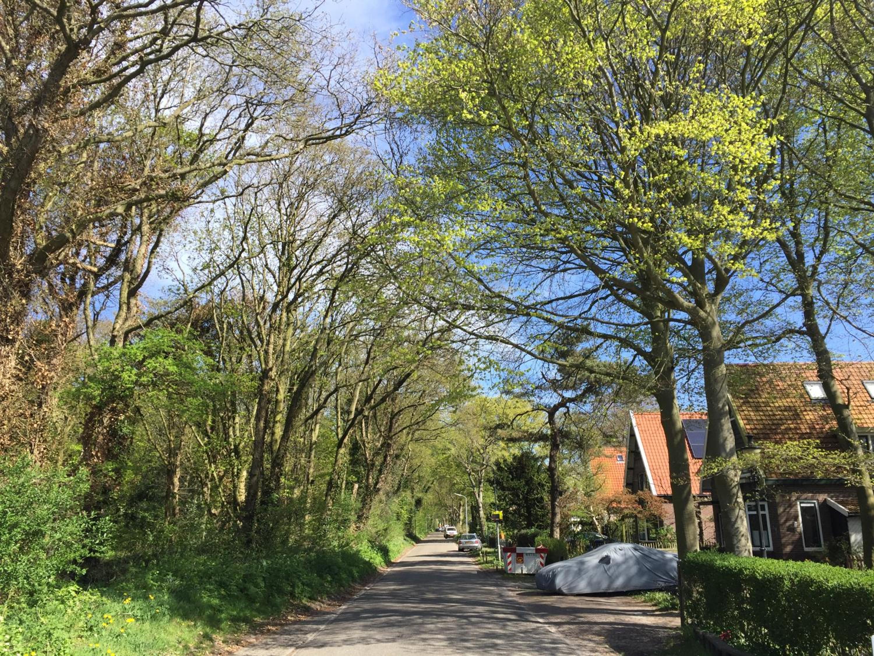 Photo 21