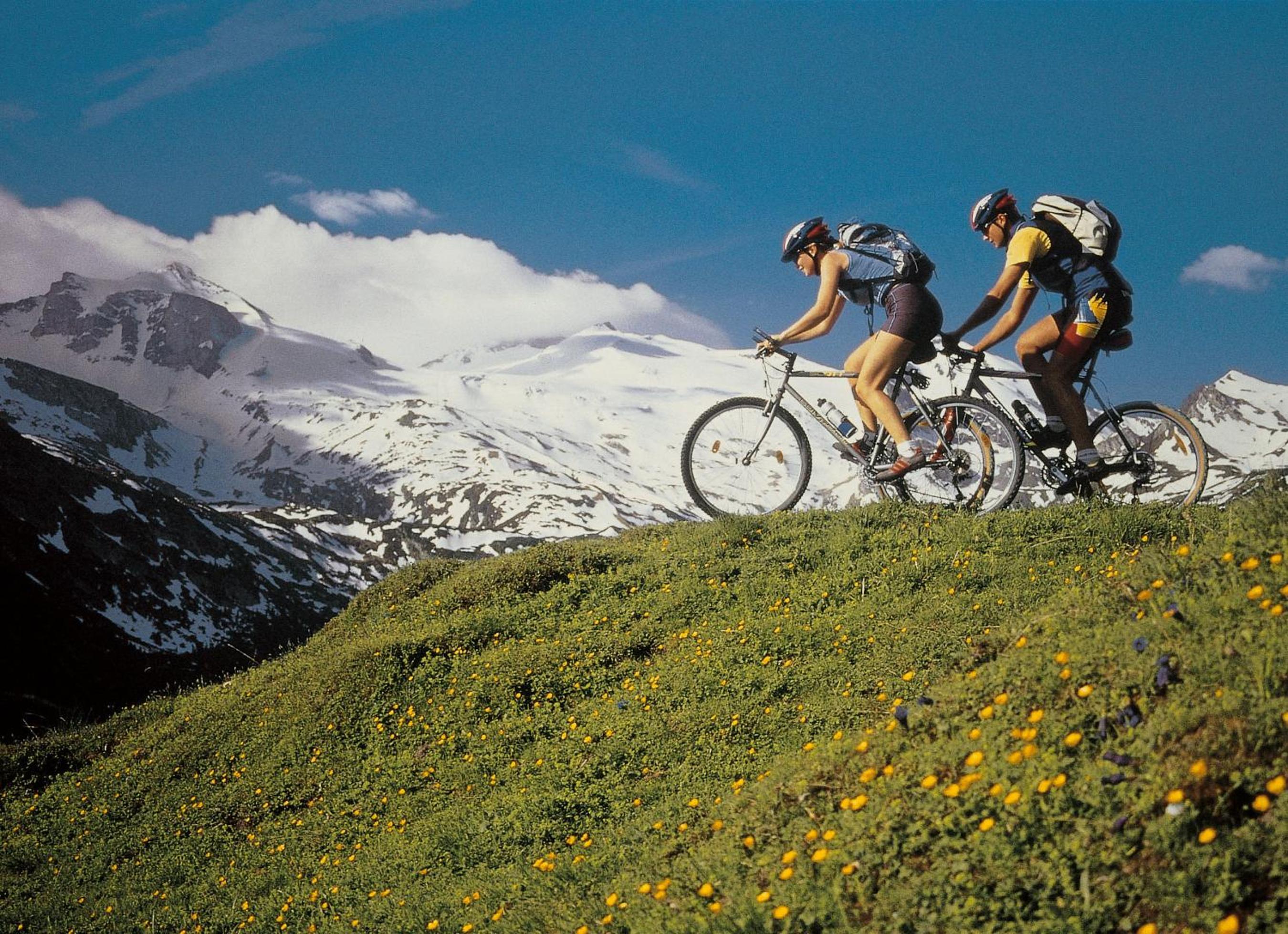 Mountainview Lodge - Chalet im Zillertal direkt am 5 Sterne Campingplatz Aufenfeld mit Hallenbad und Sauna