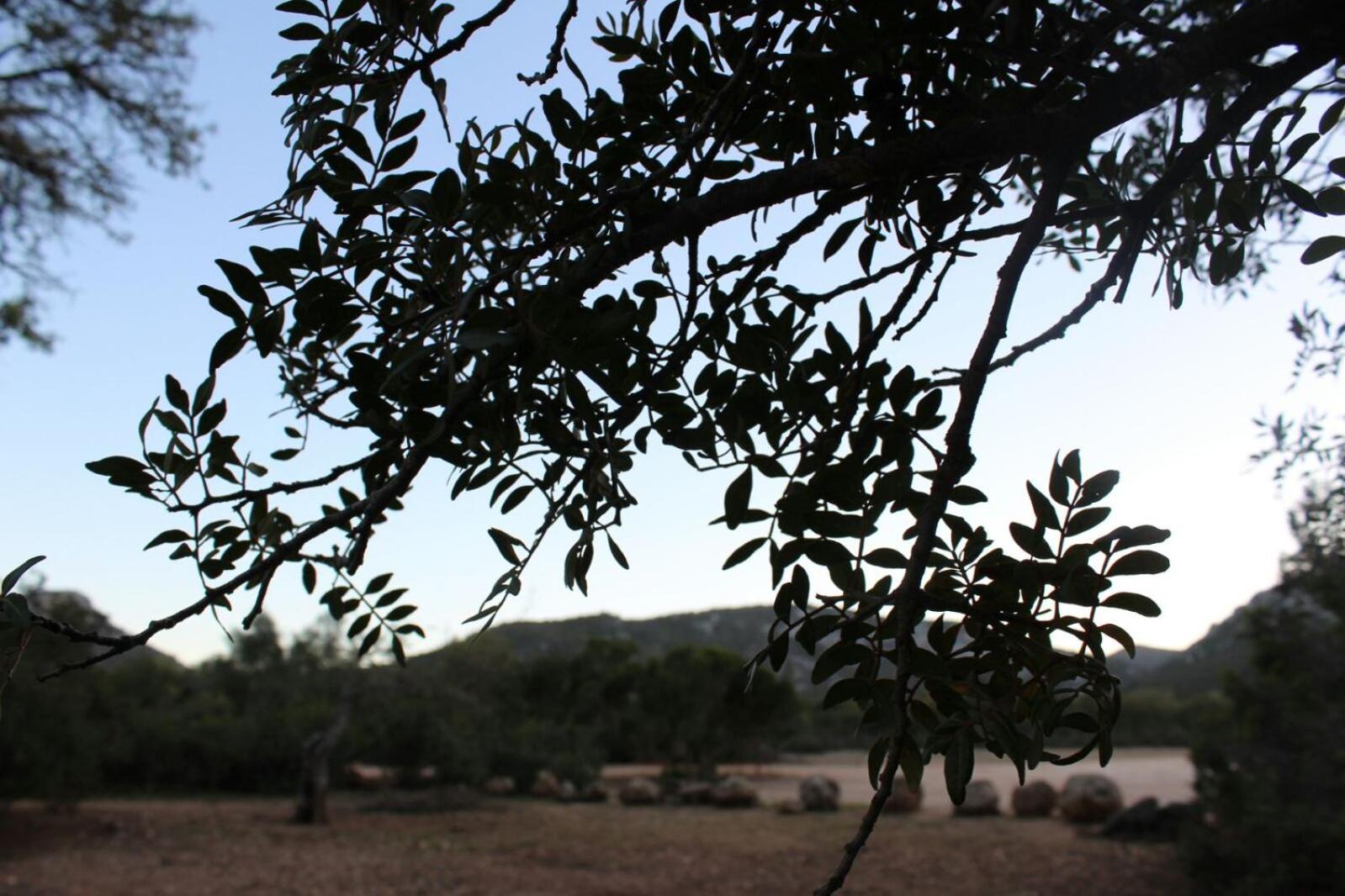 Photo 27