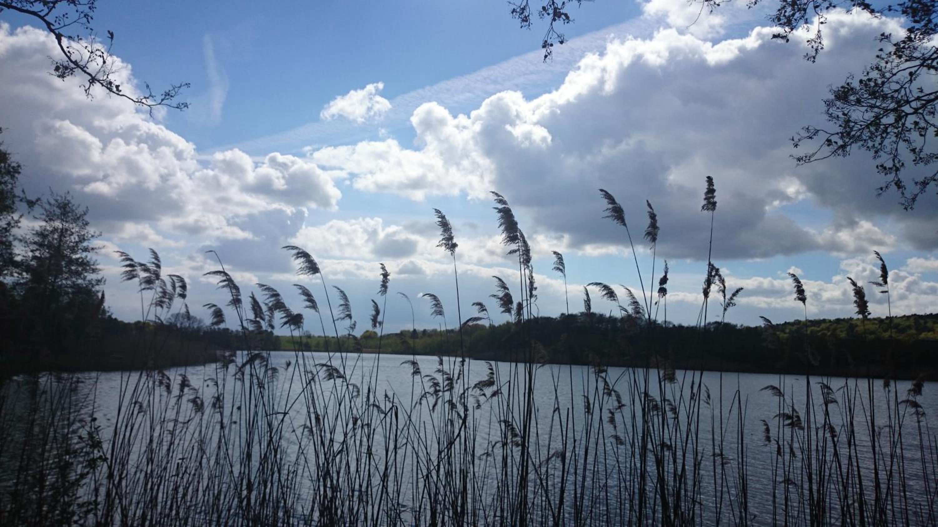 Schloonseevilla mit Tiefgarage - 200 m zum Strand