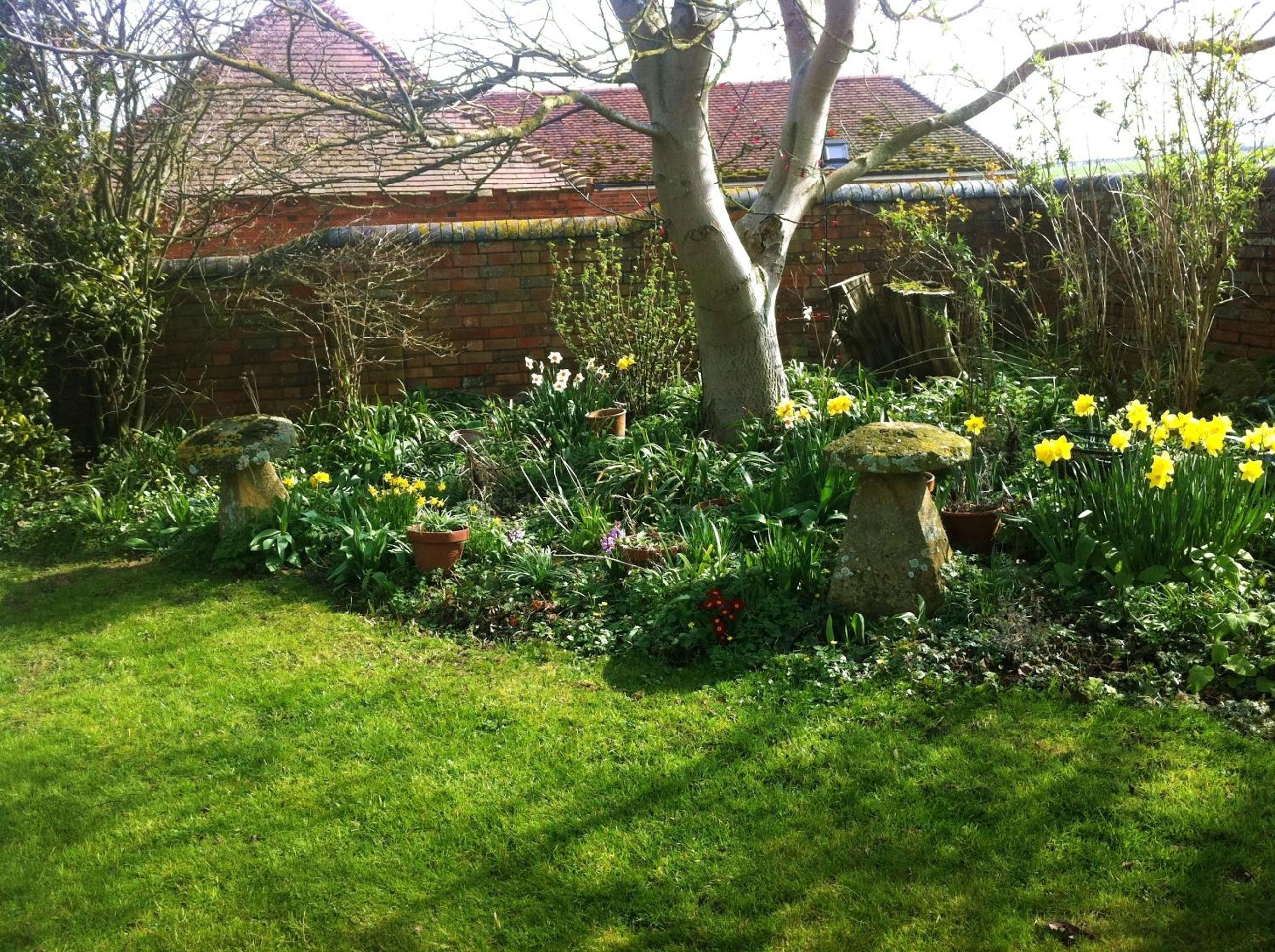 Photo 28