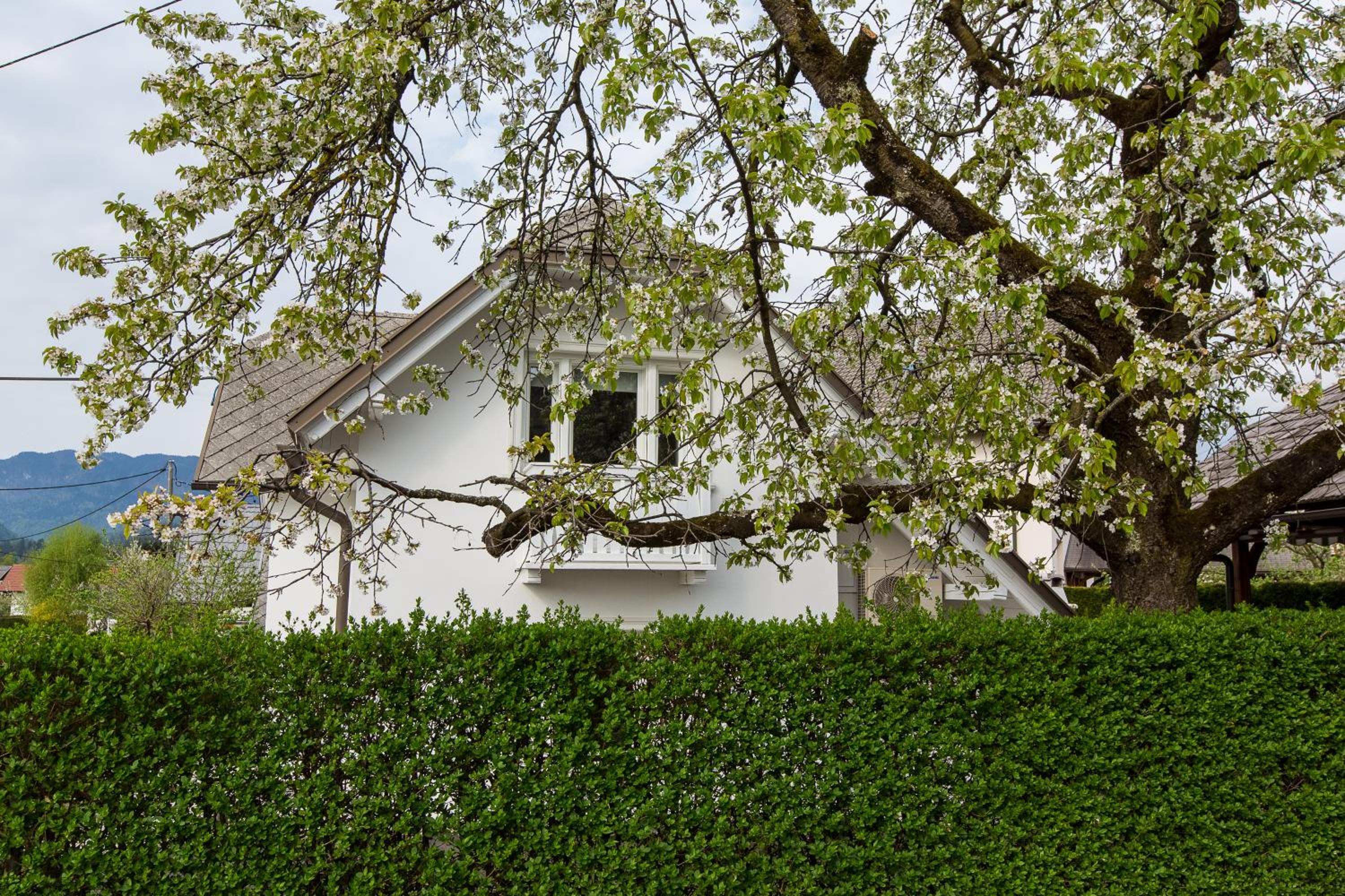 Vacation home Old Cherry