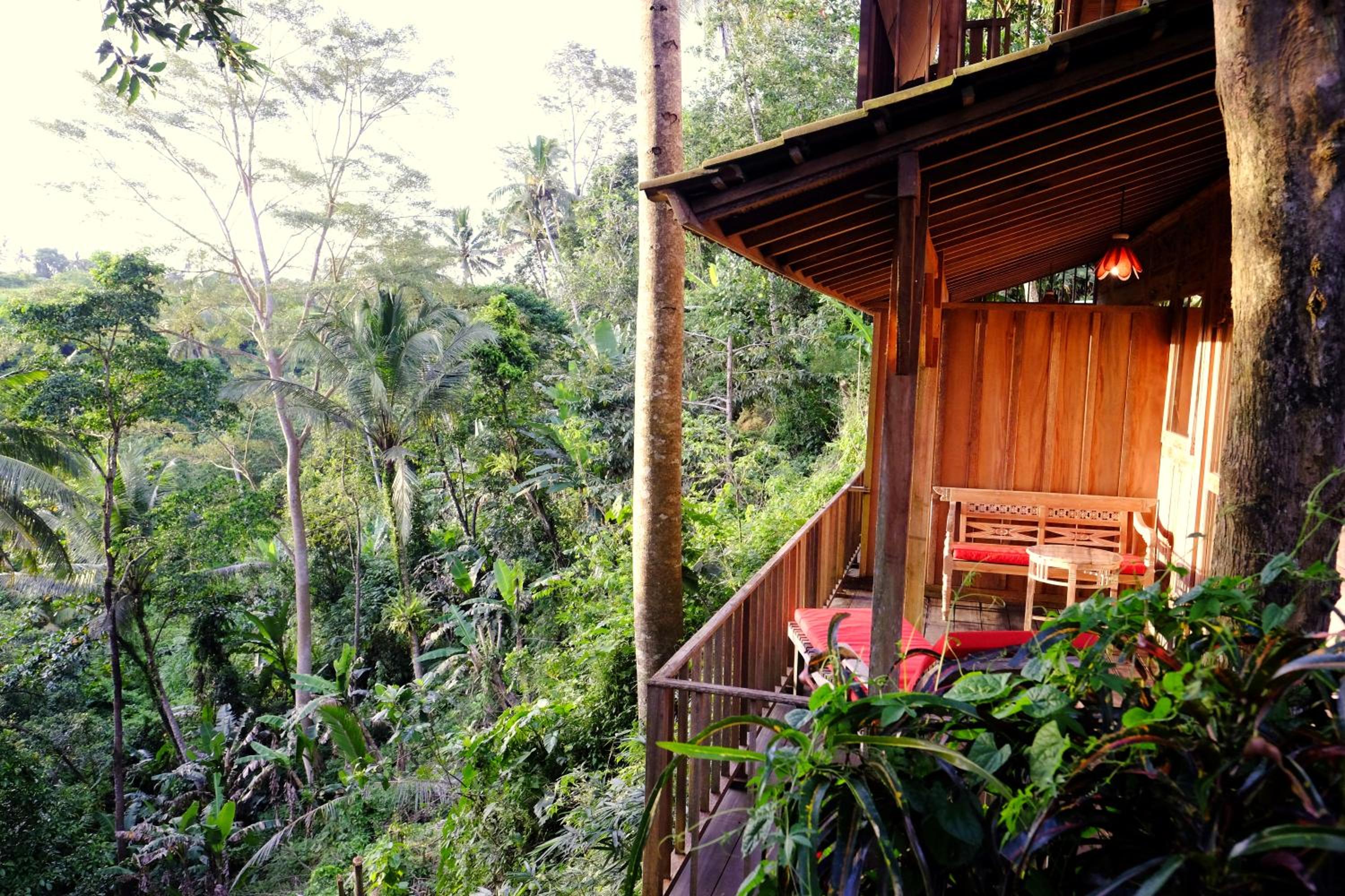 Prashanti Bali view 4