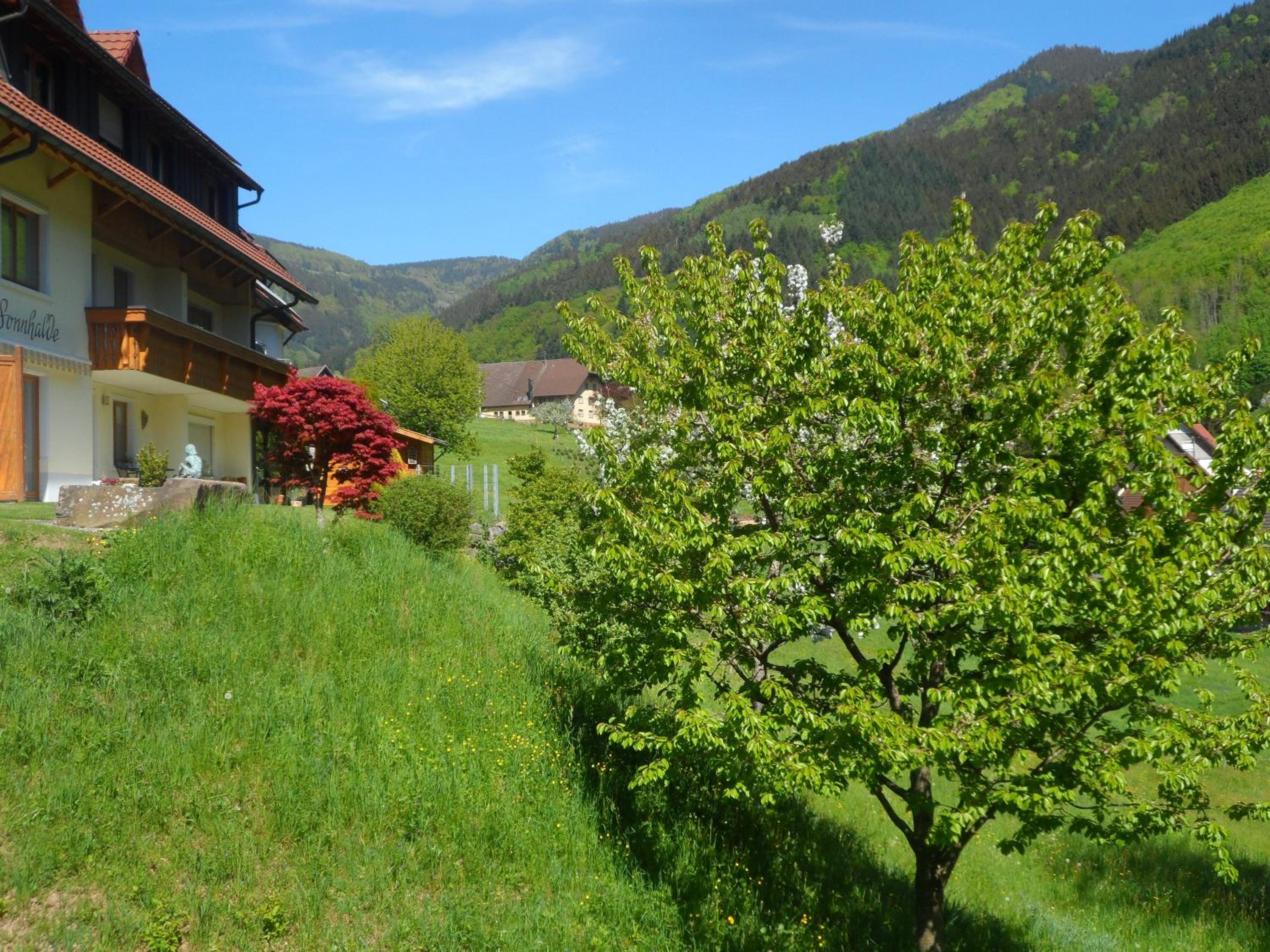 Photo 43