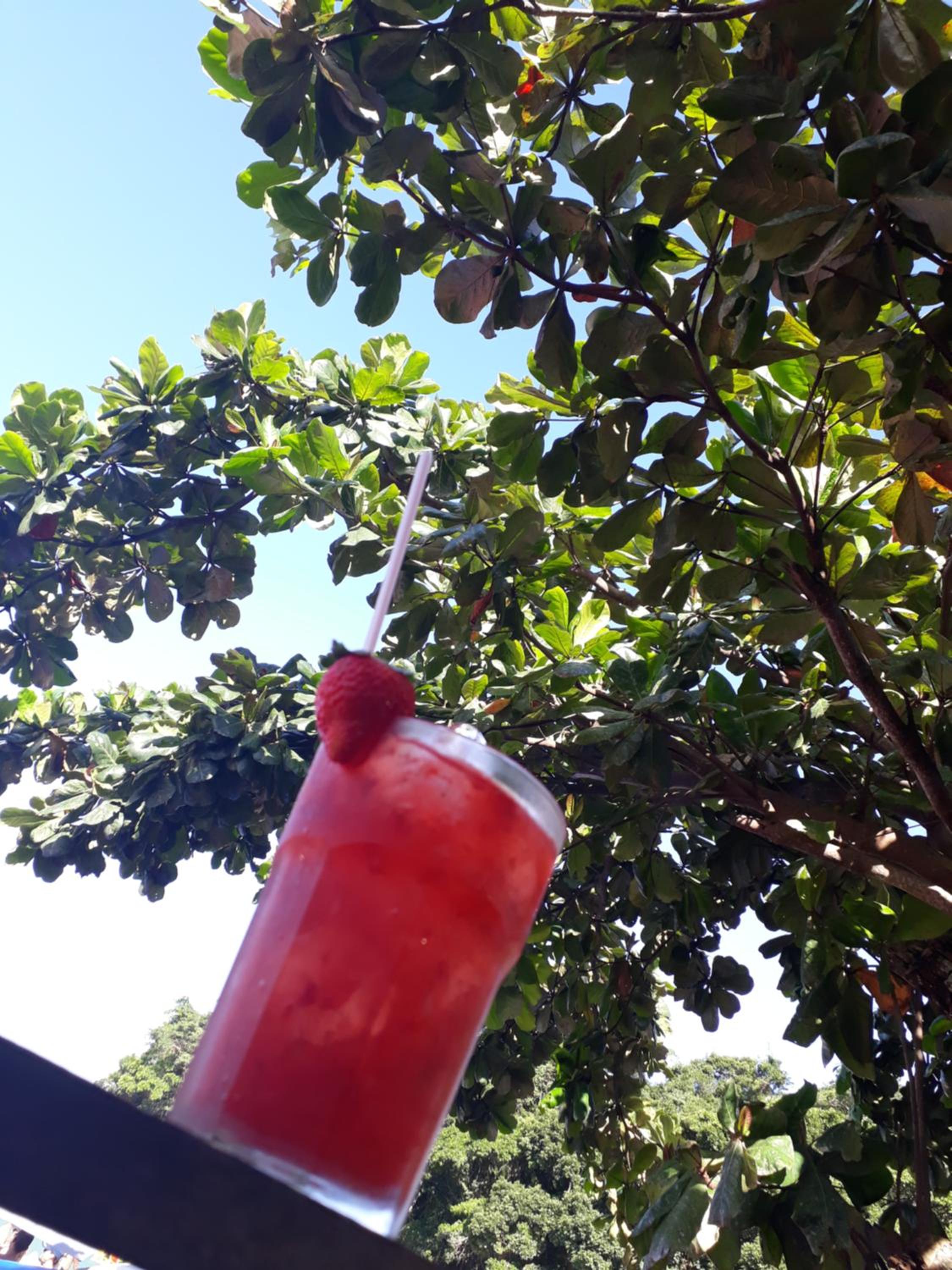 Jambeiro na praia