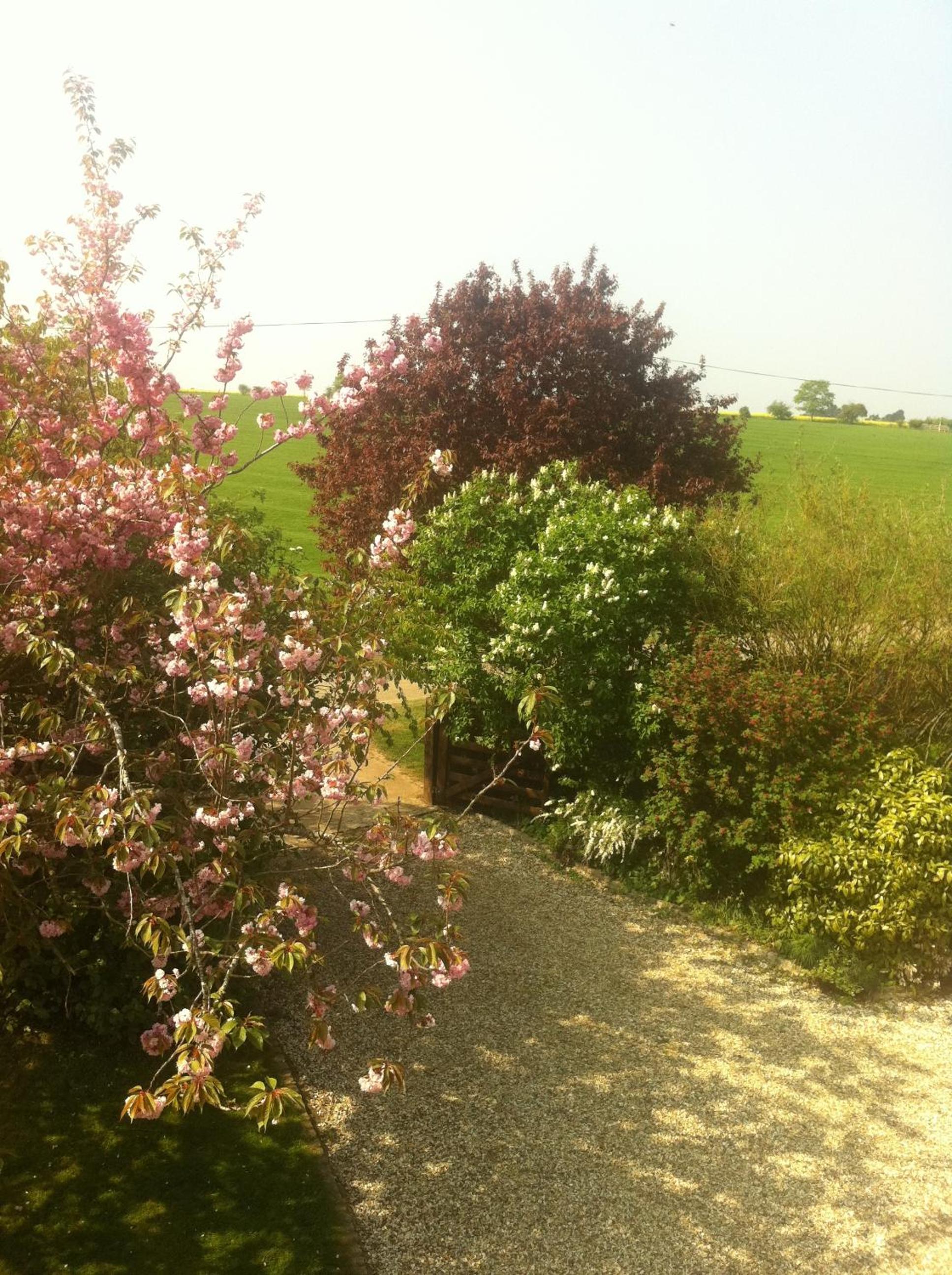 Photo 30