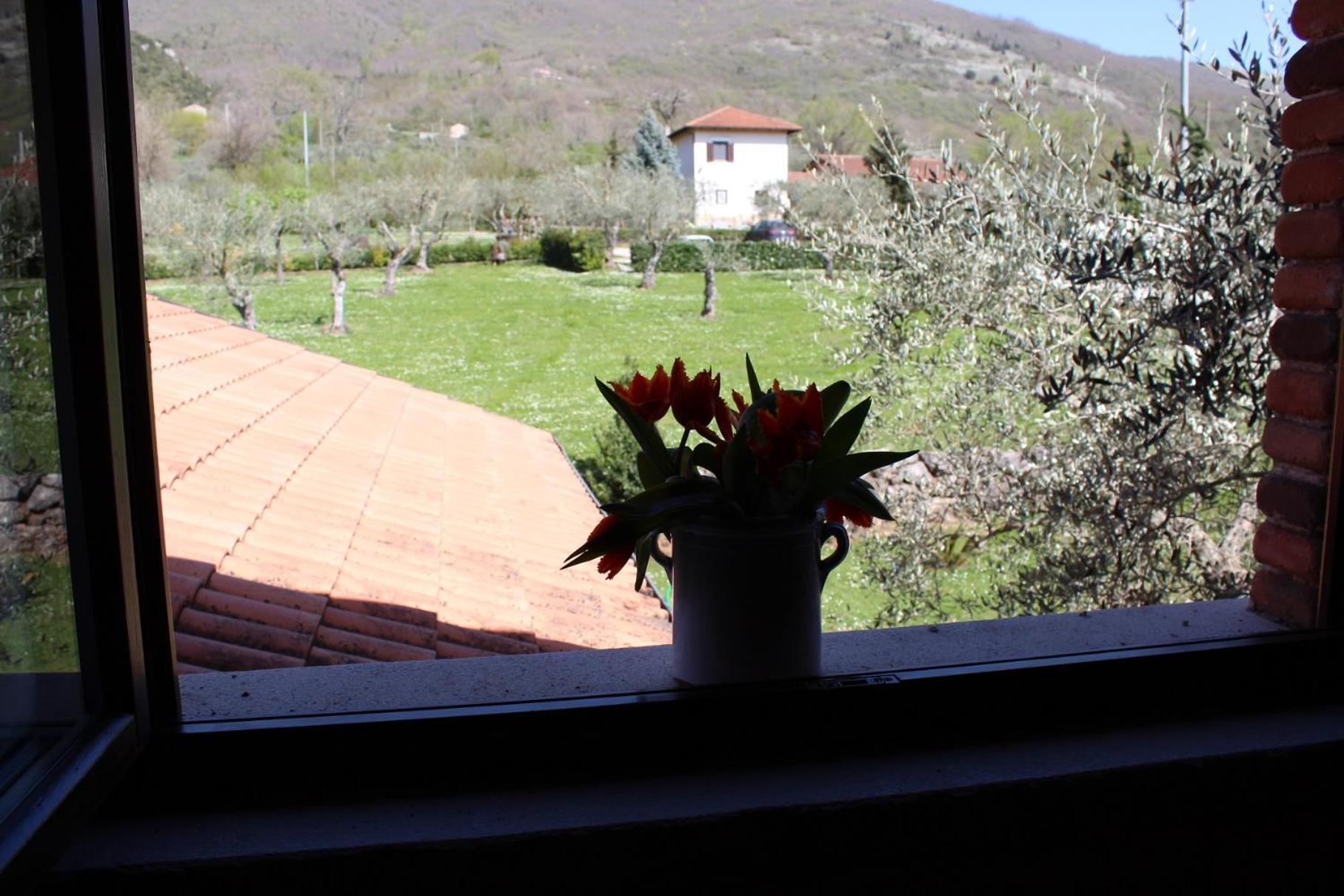 Photo 49