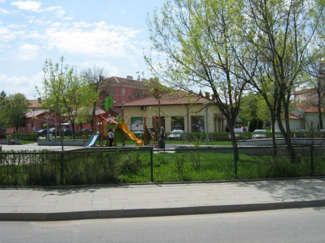 Photo 8