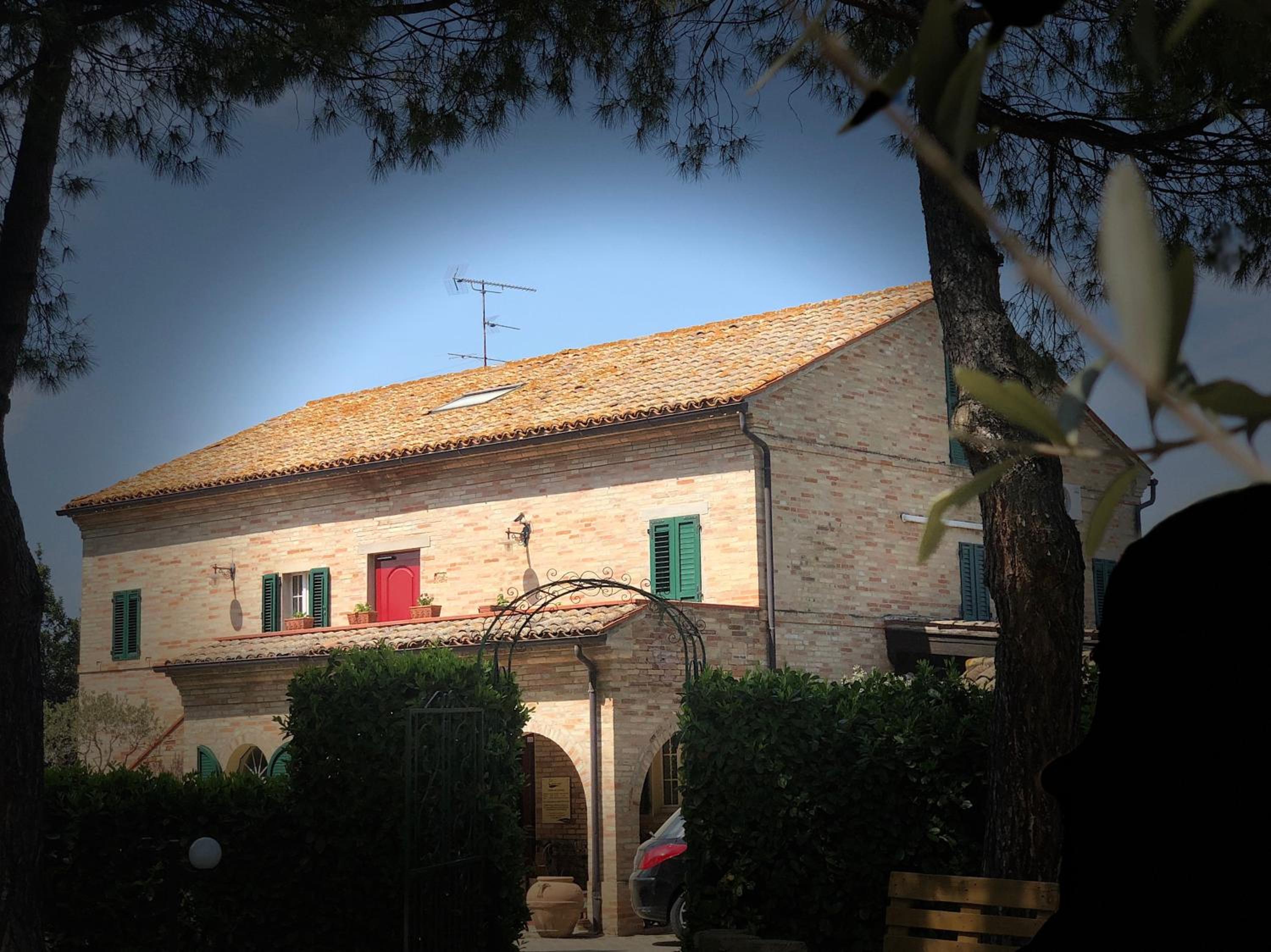 Photo 14