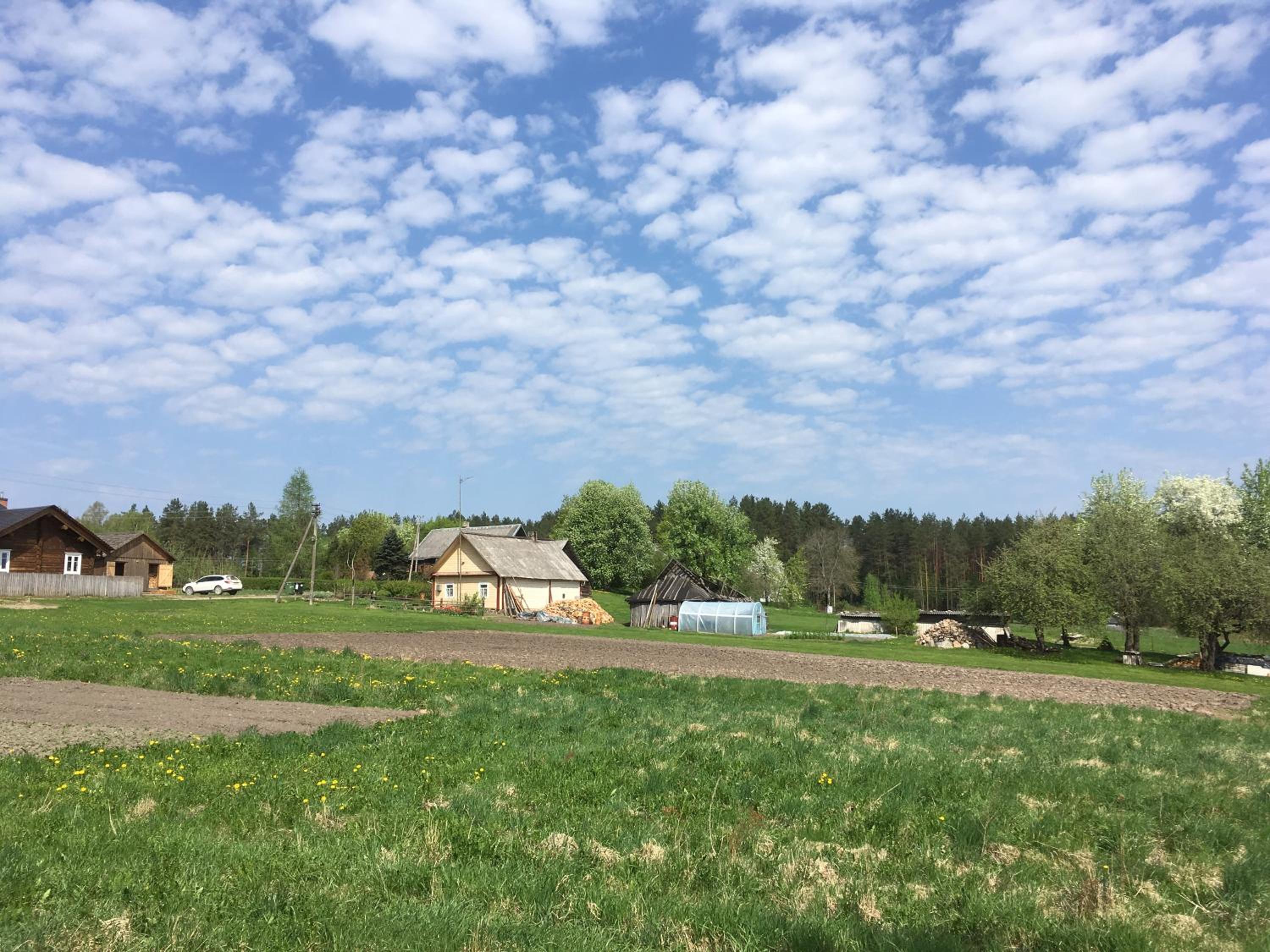 Photo 35