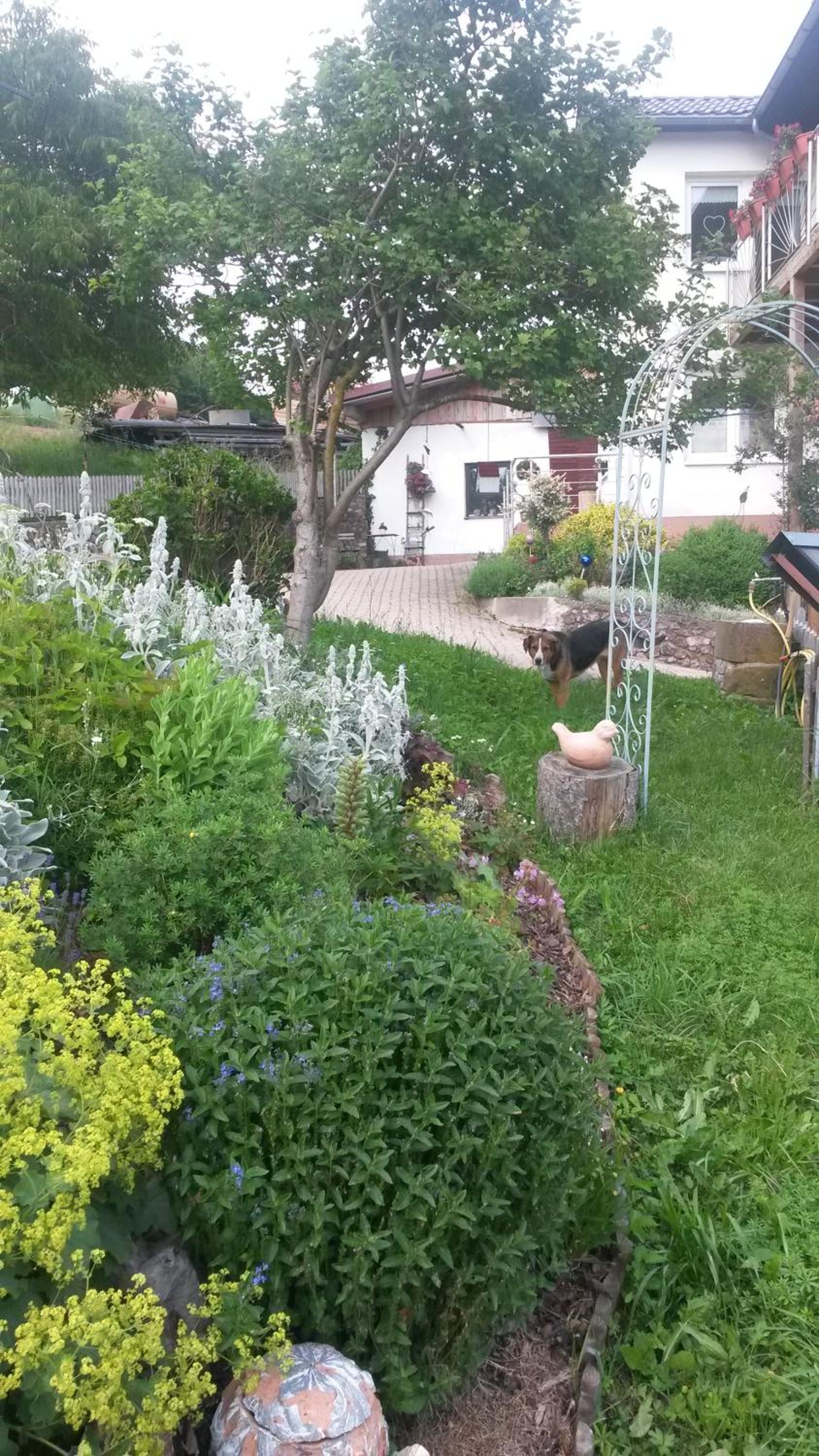 Photo 15