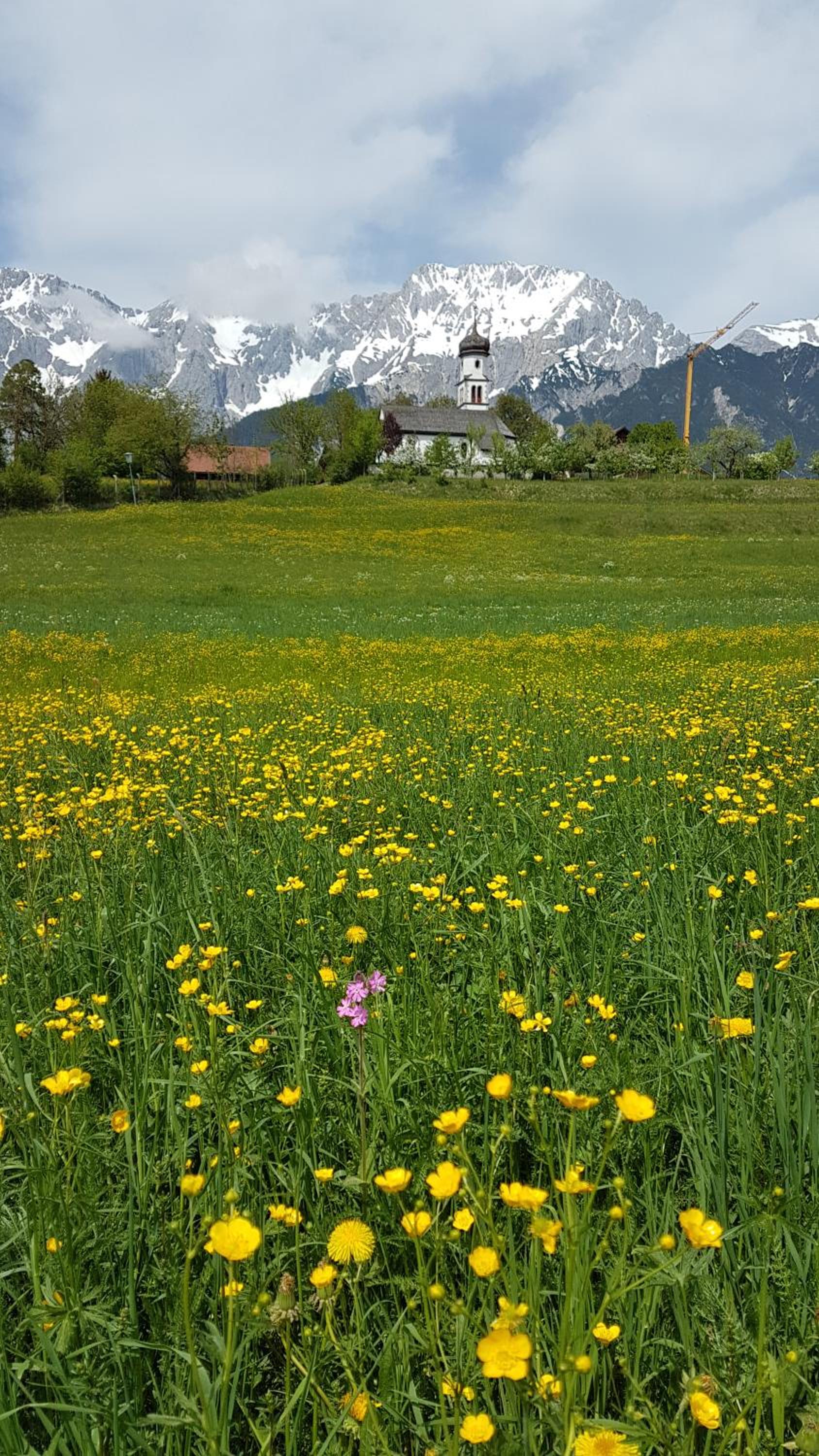 Photo 49