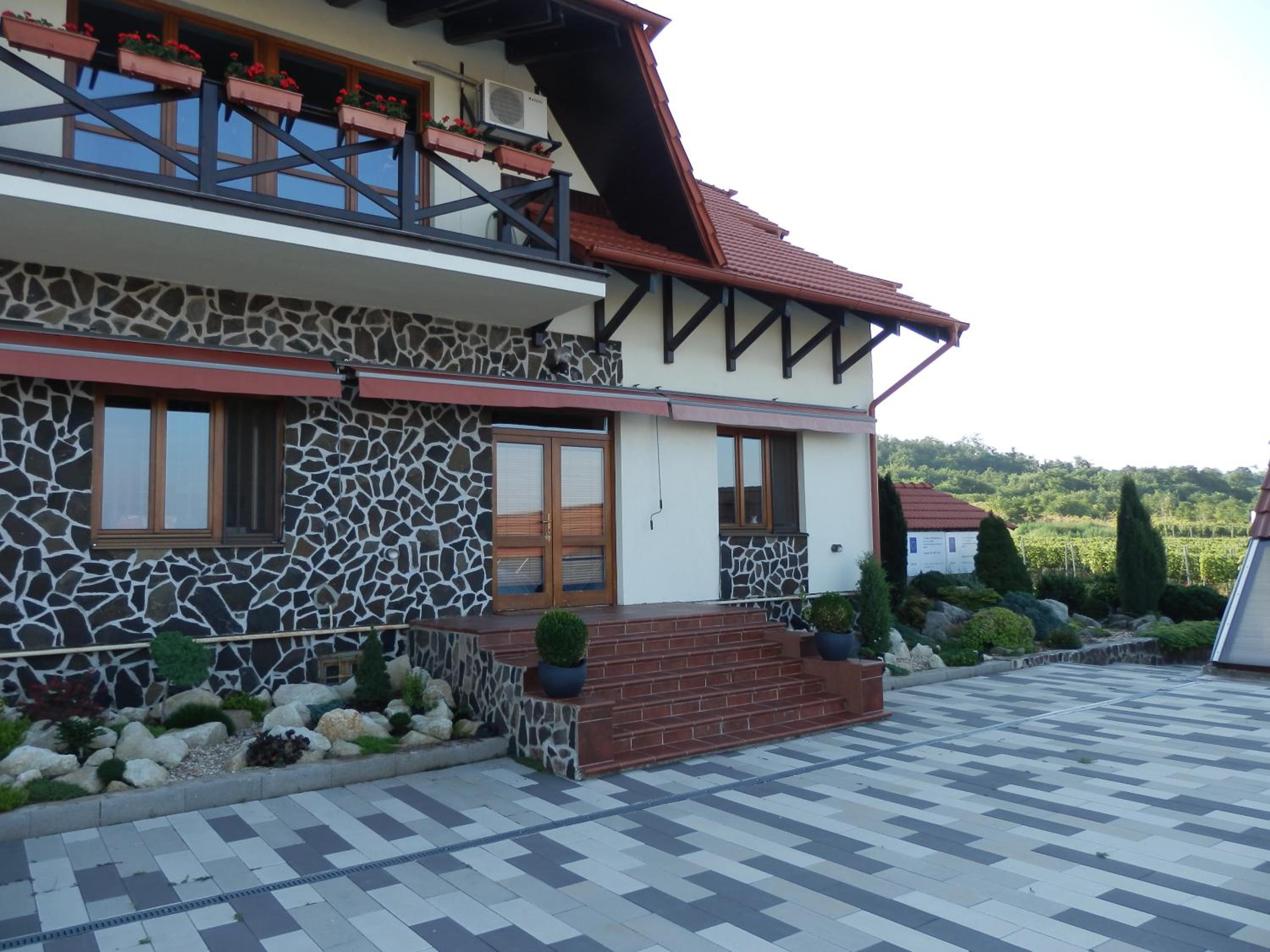 Wellness Penzión Vínny Dom view 3