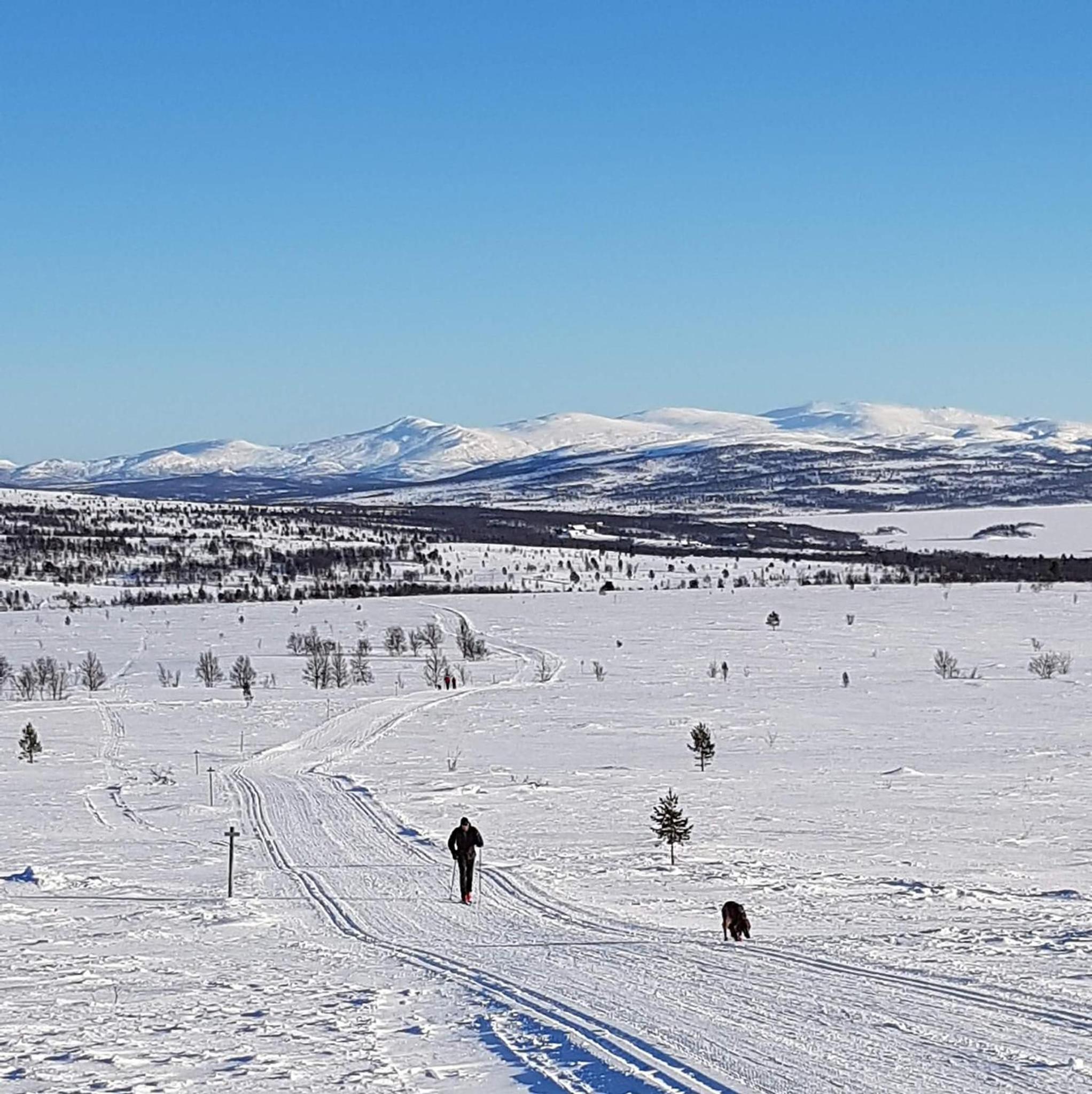 Bakken Gårdshus