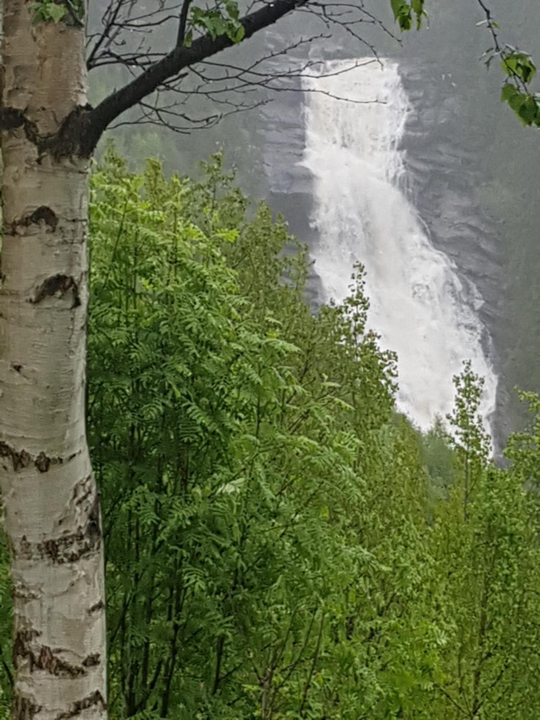 Bakken Gårdshus