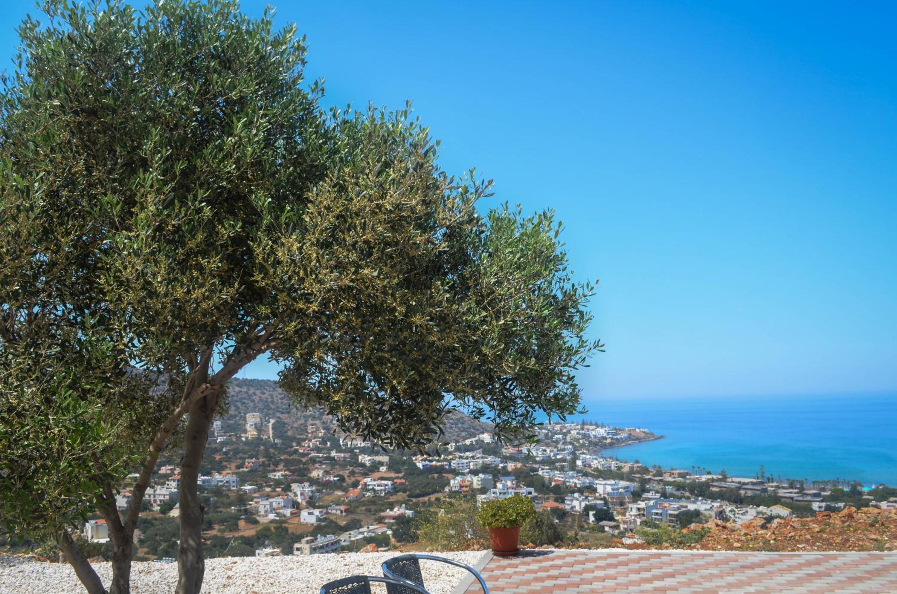 Villa Xenia Stalis view 4