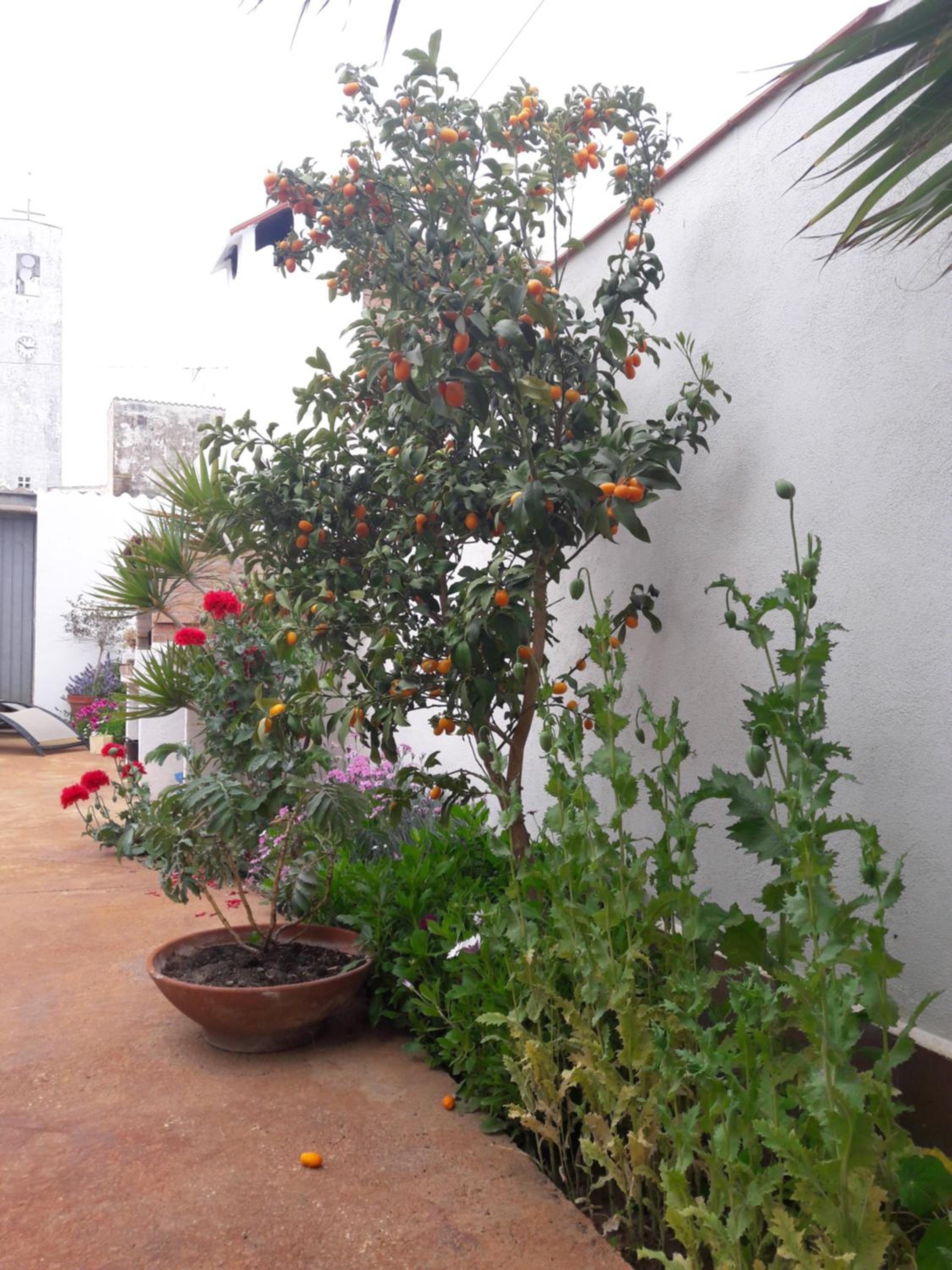 Photo 31