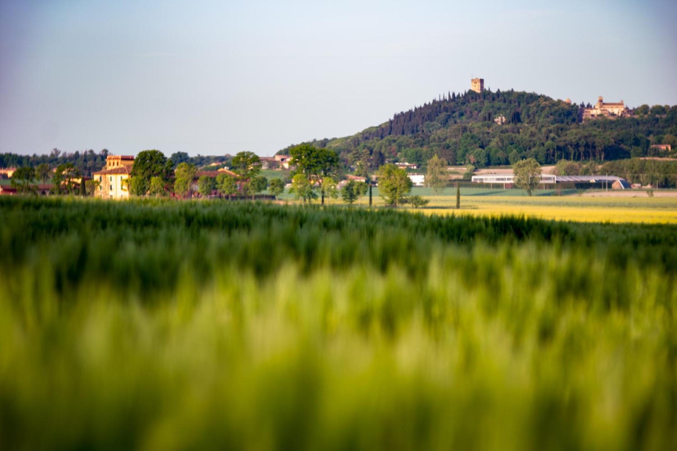 La Valle dei Vigher