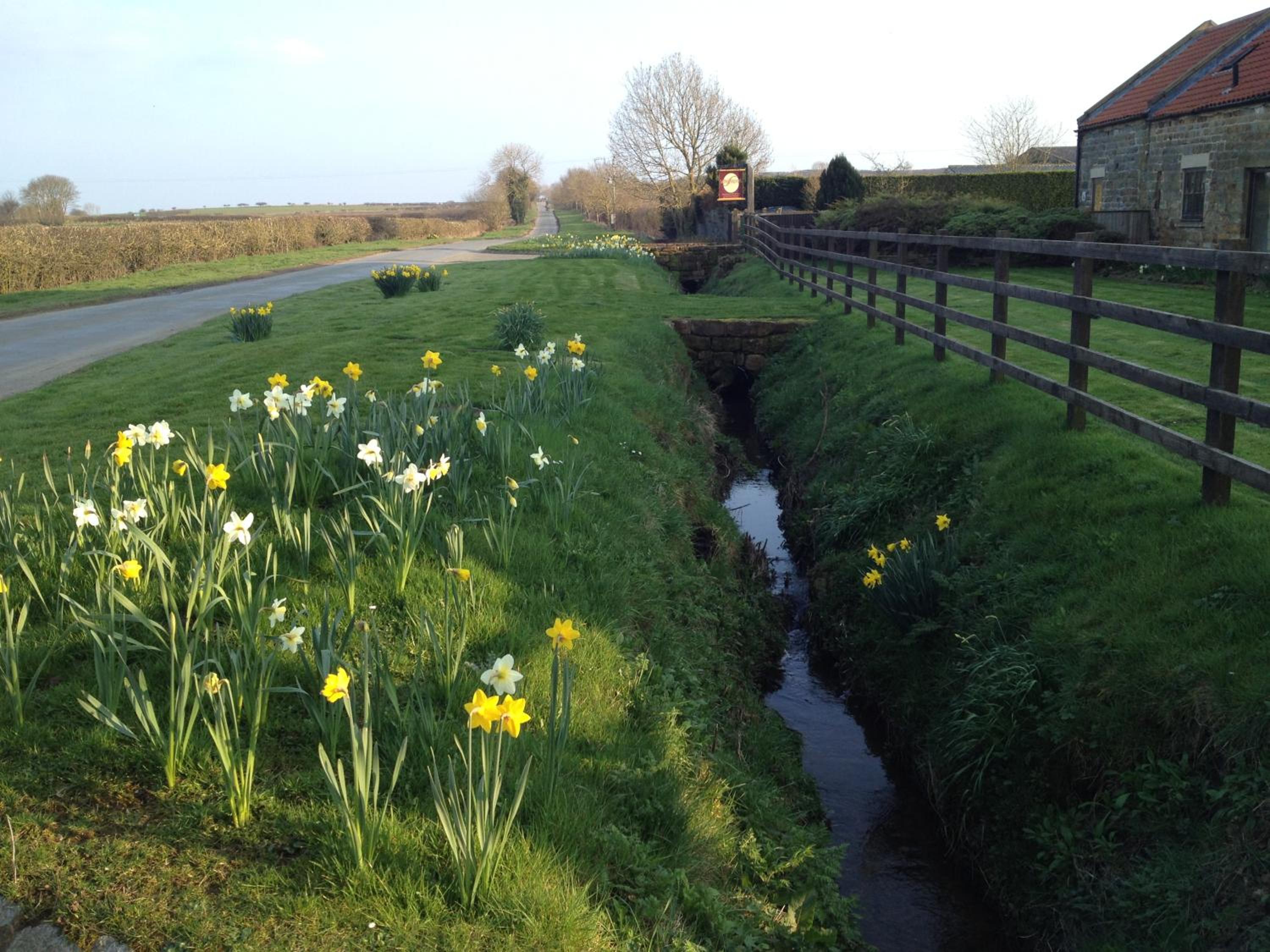 Badger Cottage view 4