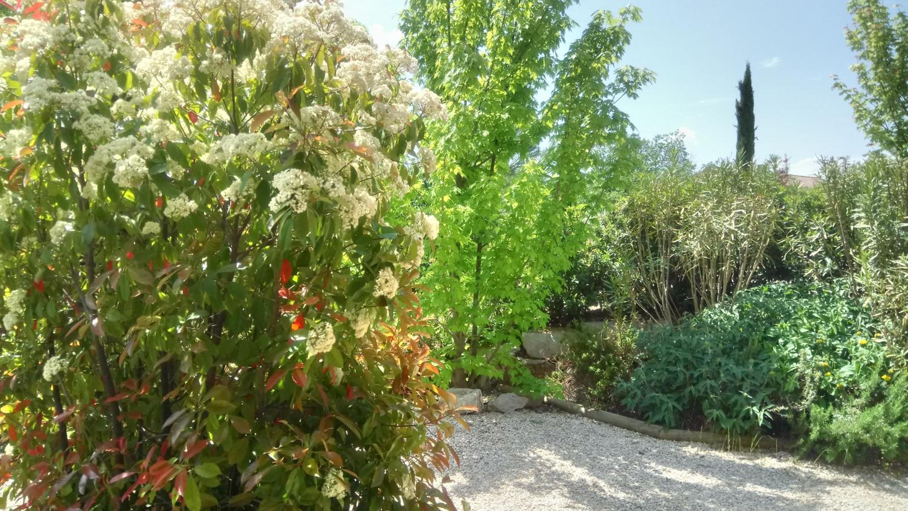 Photo 20
