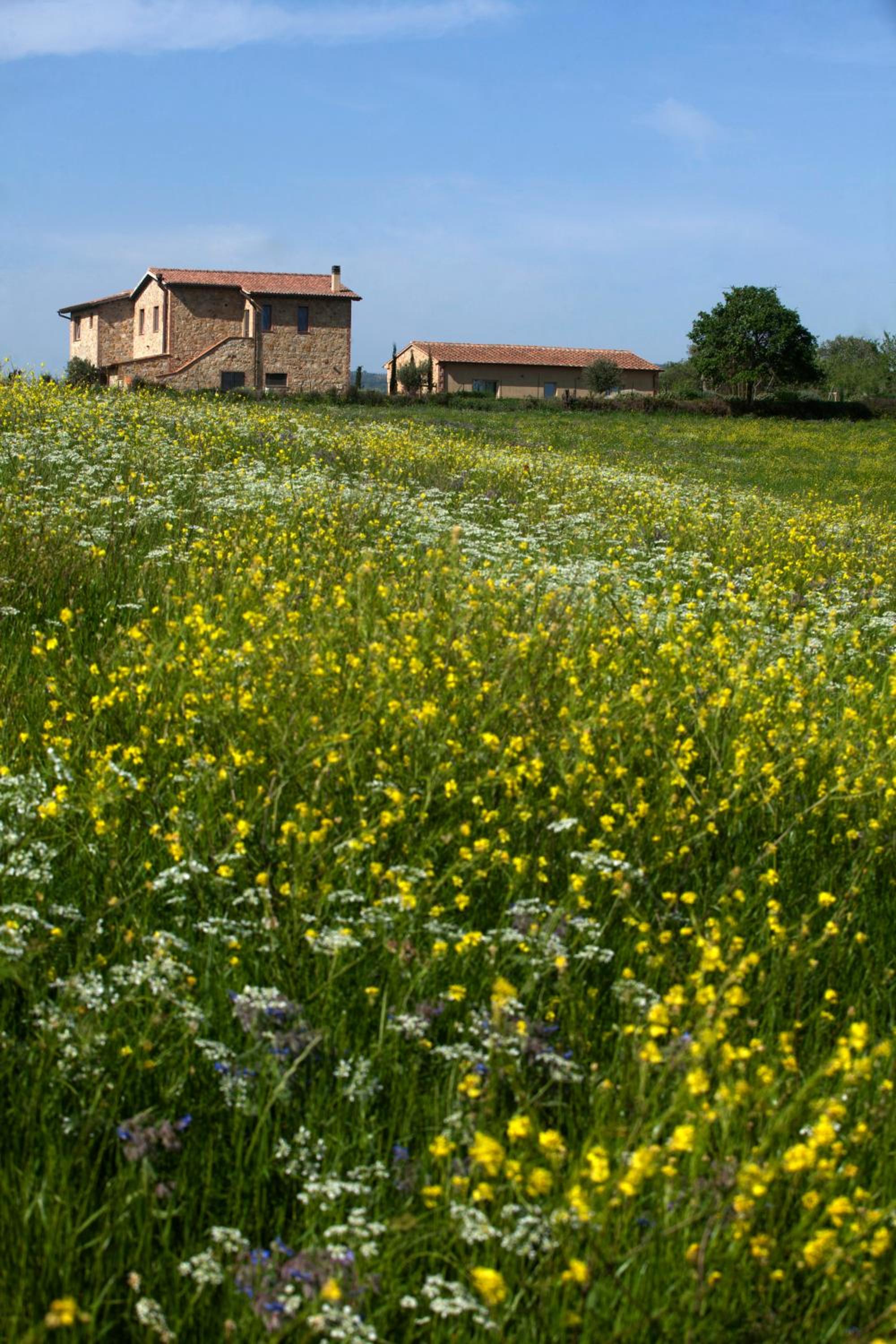 Casale Sterpeti