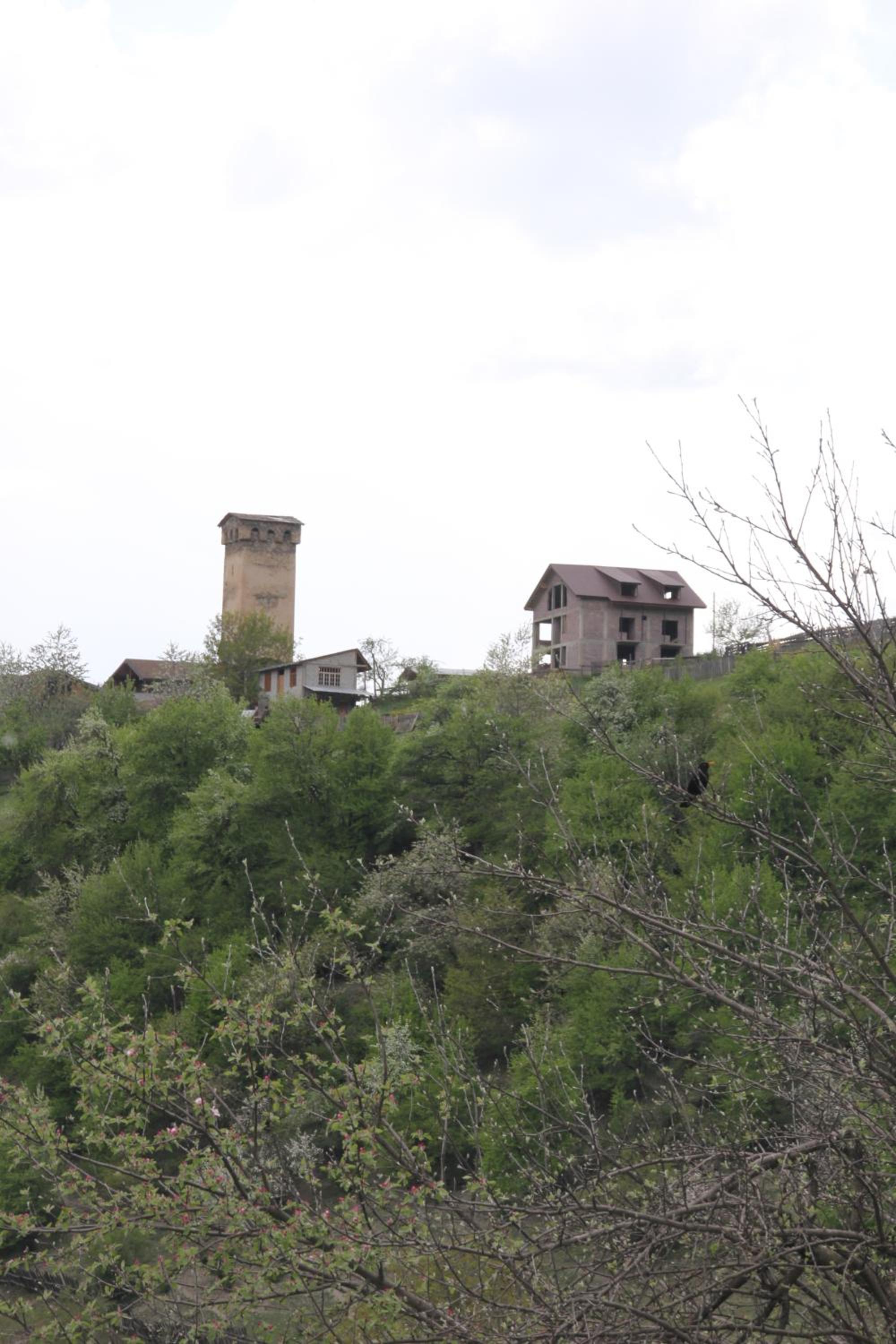 Guesthouse Qarim