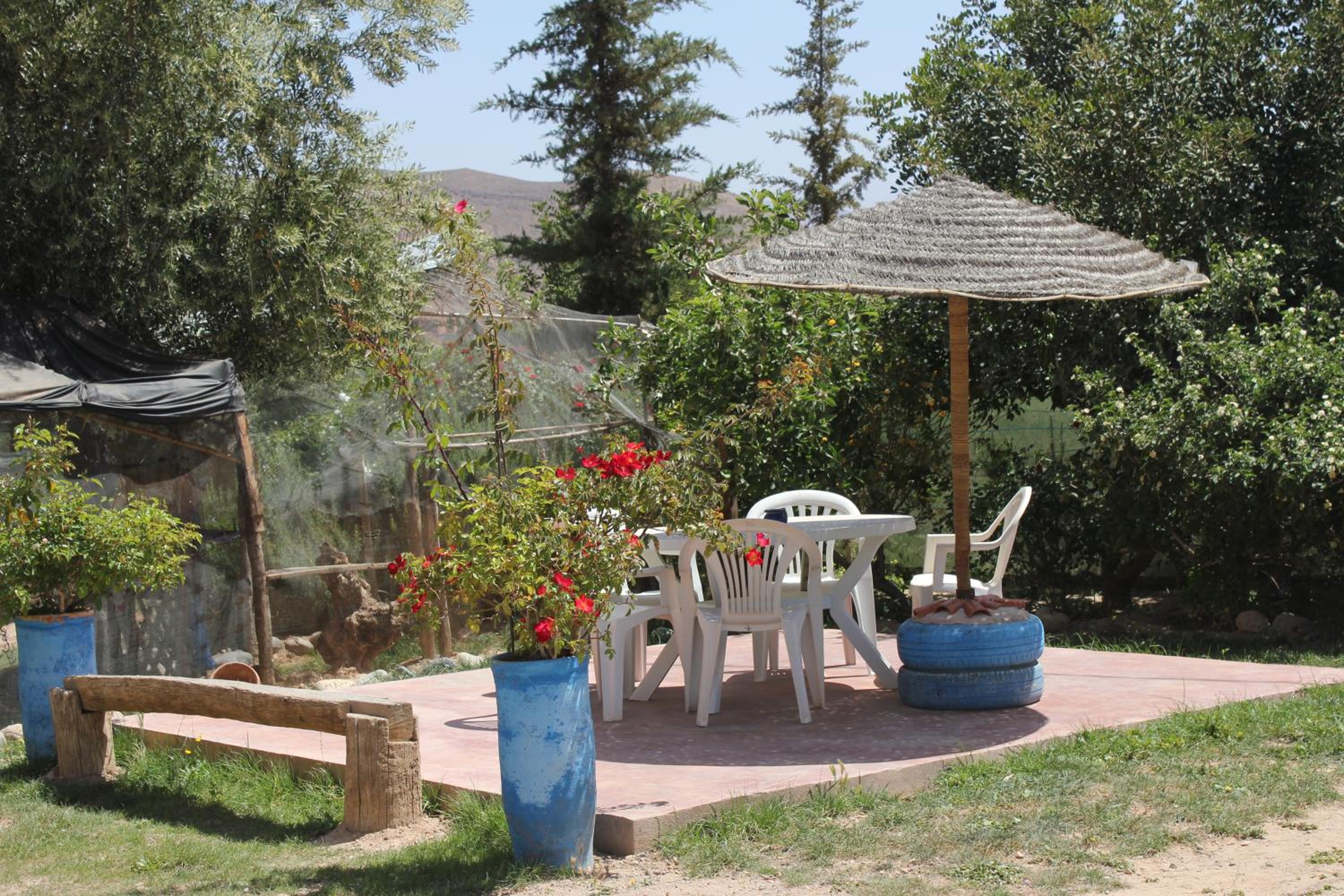 Photo 16