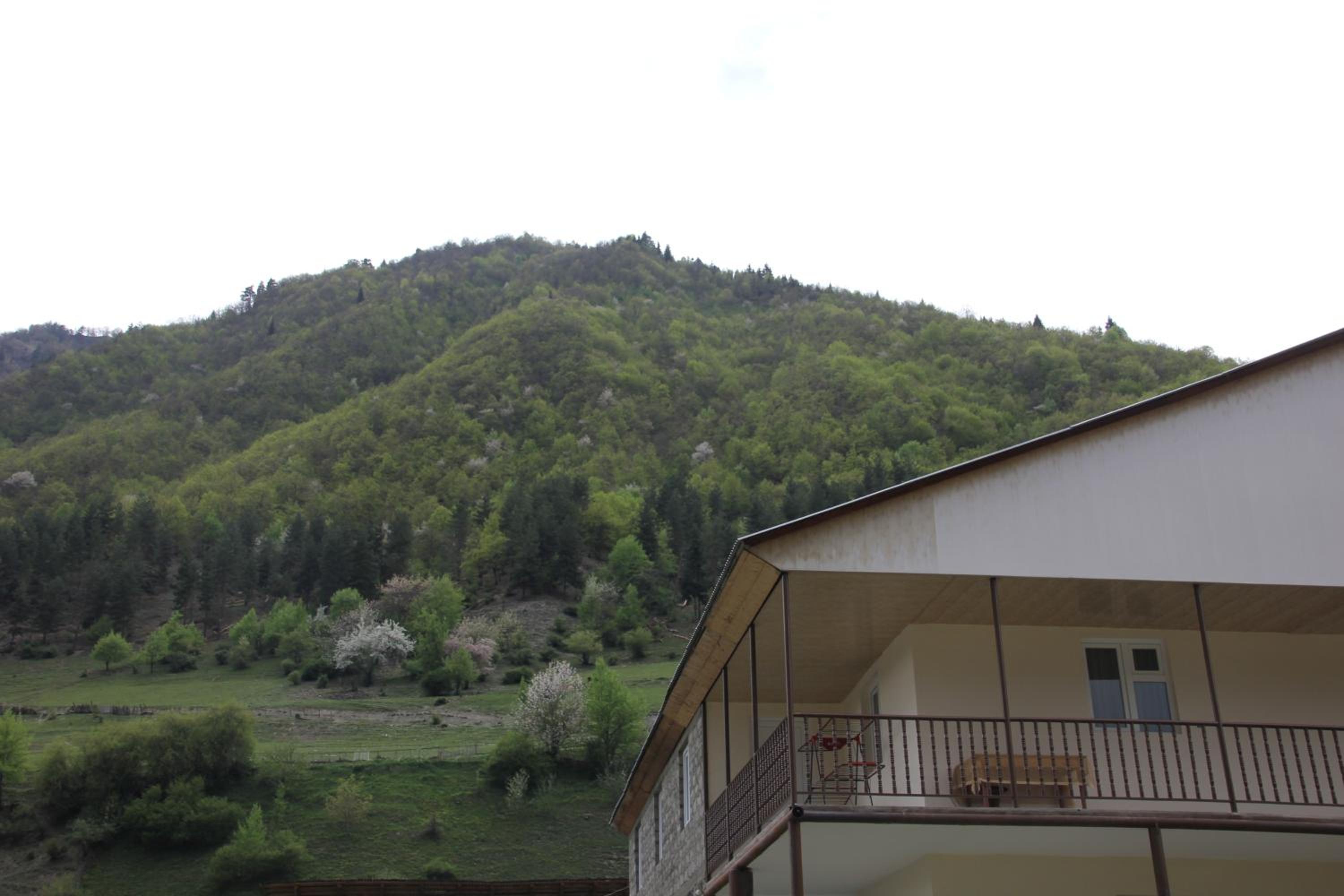 Guesthouse Qarim