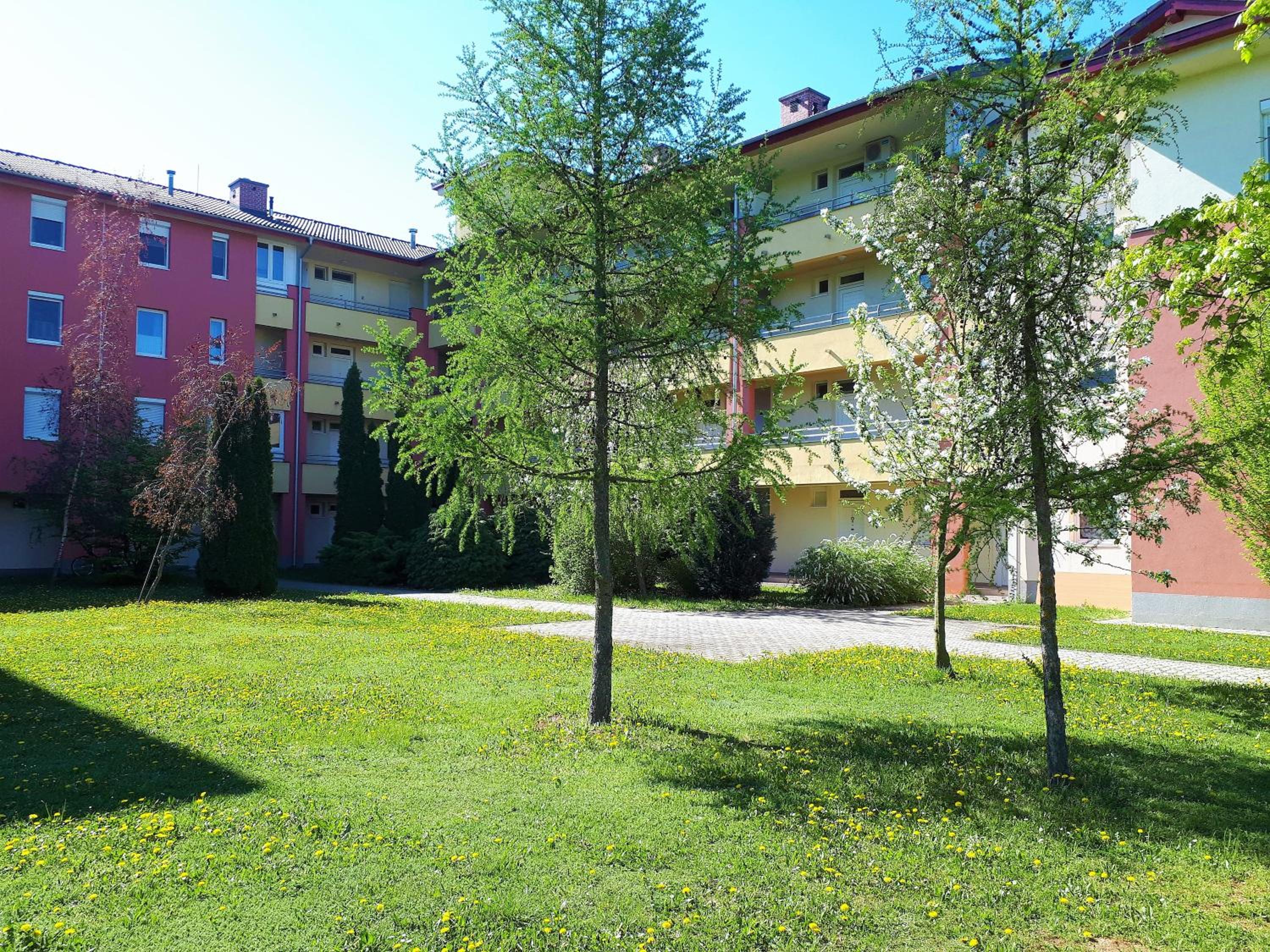 Photo 33