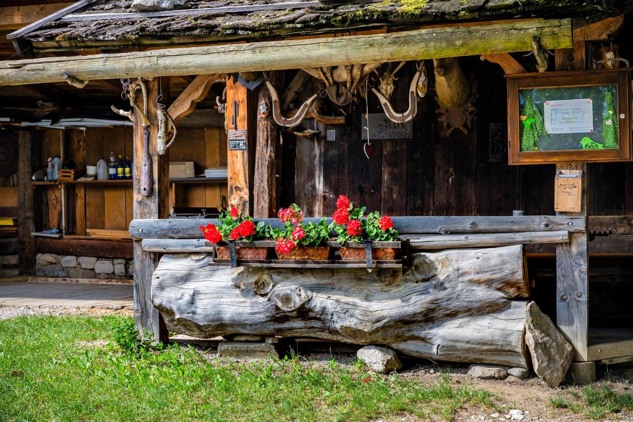 Mareinhof - Urlaub auf dem Apfelbauernhof view 5