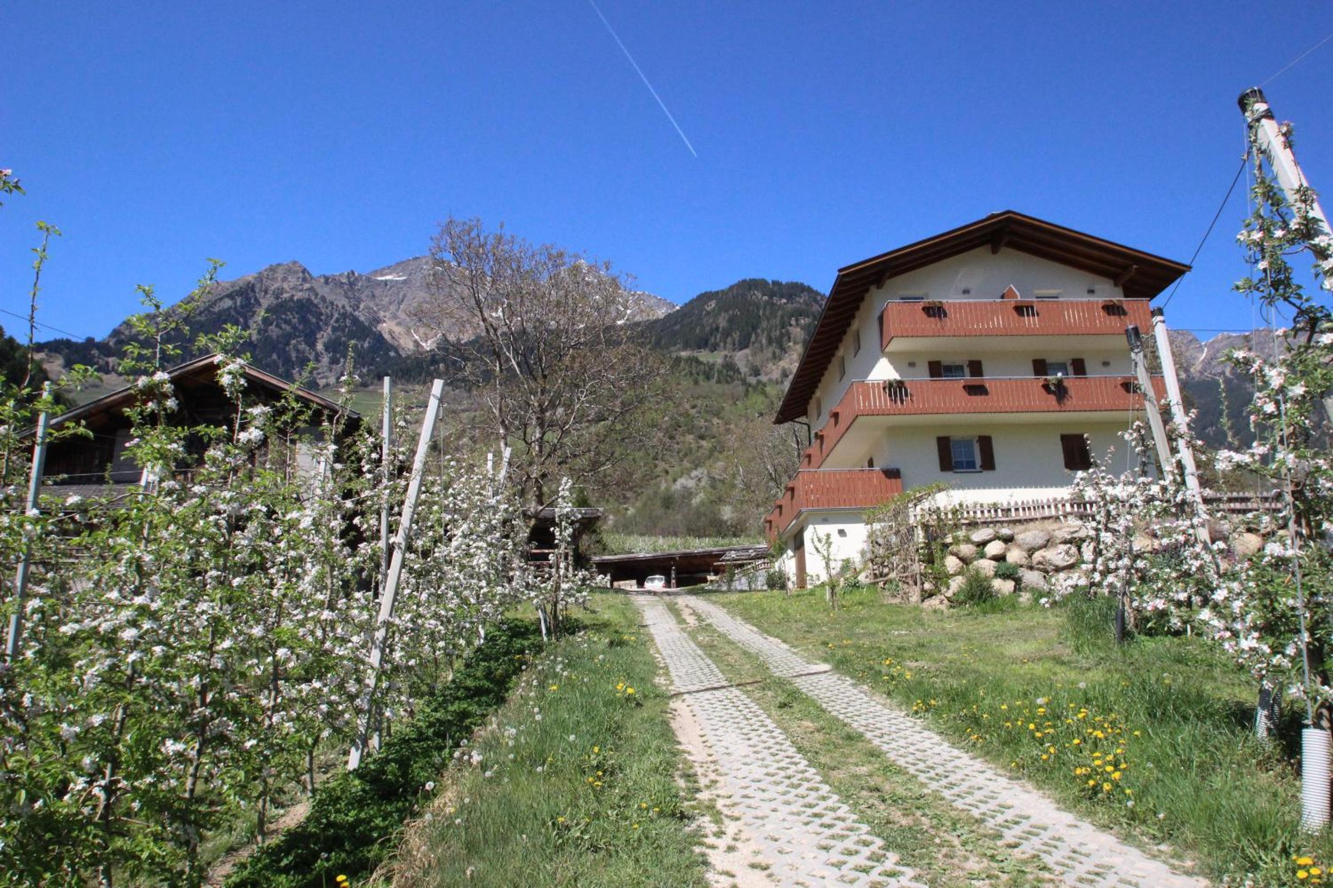 Mareinhof - Urlaub auf dem Apfelbauernhof view 3