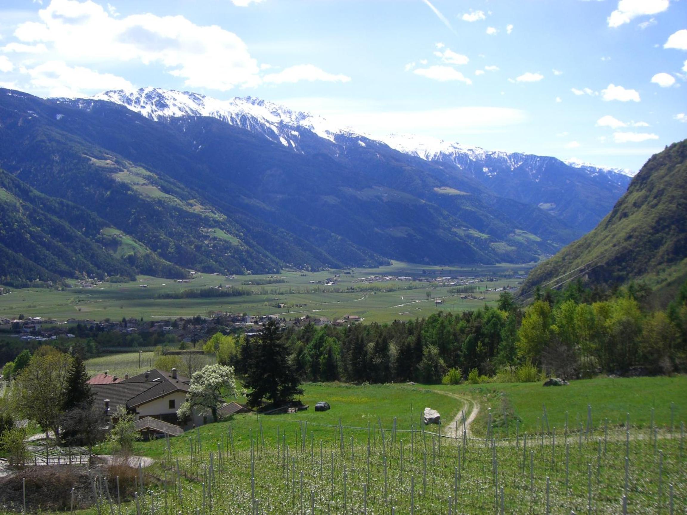 Photo 20