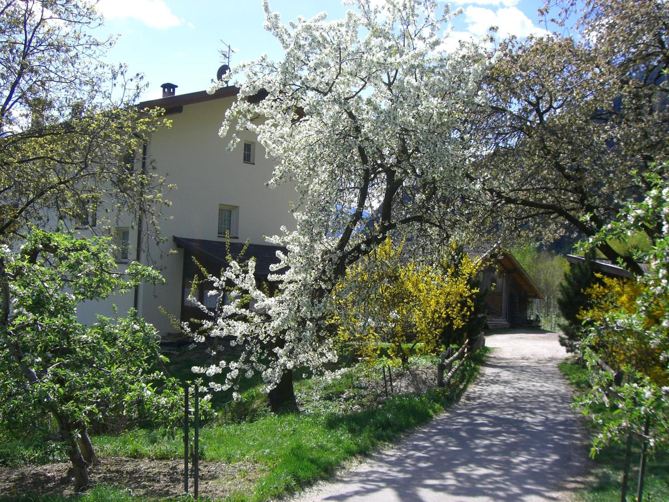 Mareinhof - Urlaub auf dem Apfelbauernhof view 4