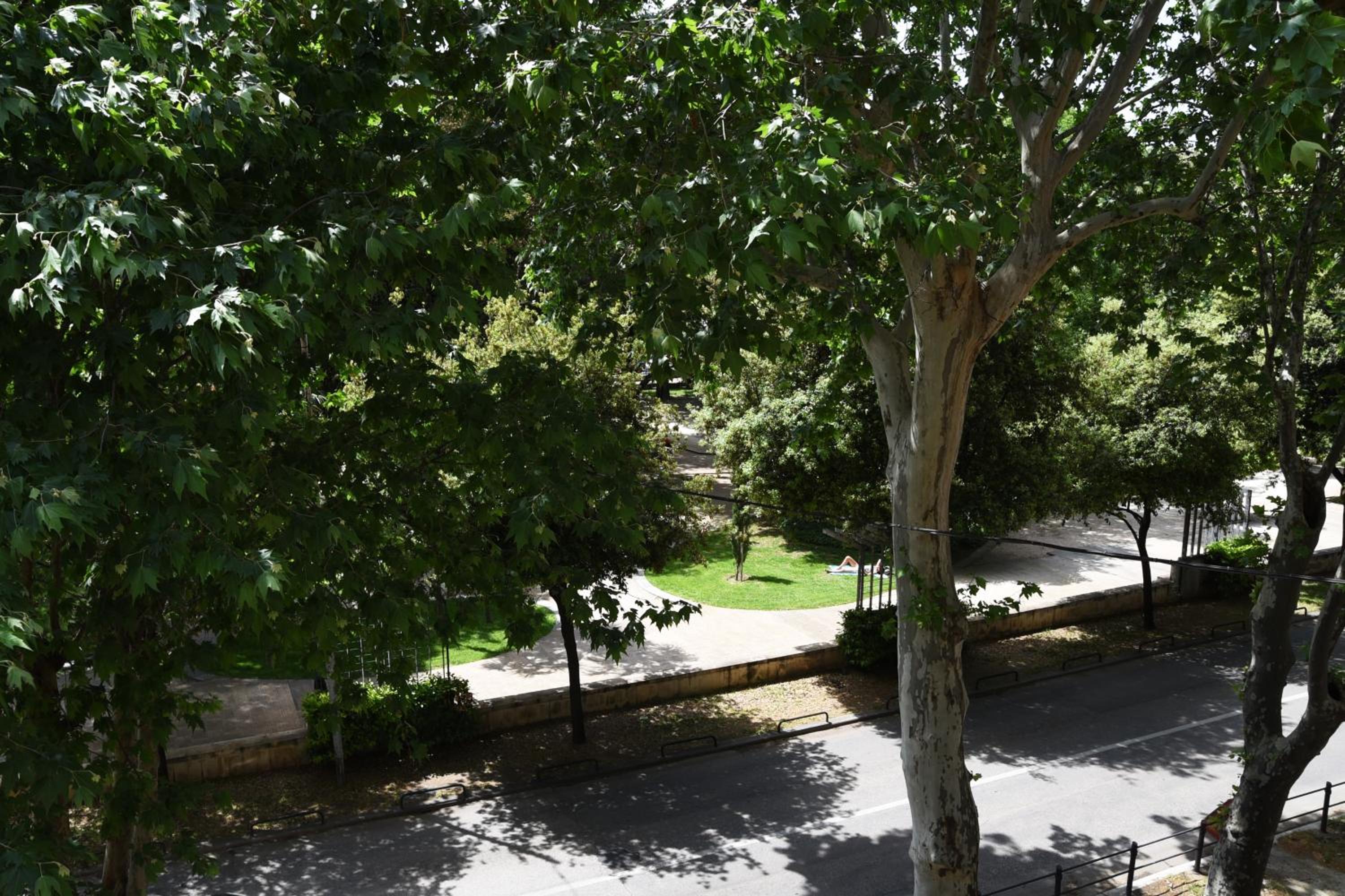 Argenta Luxury Room view 5