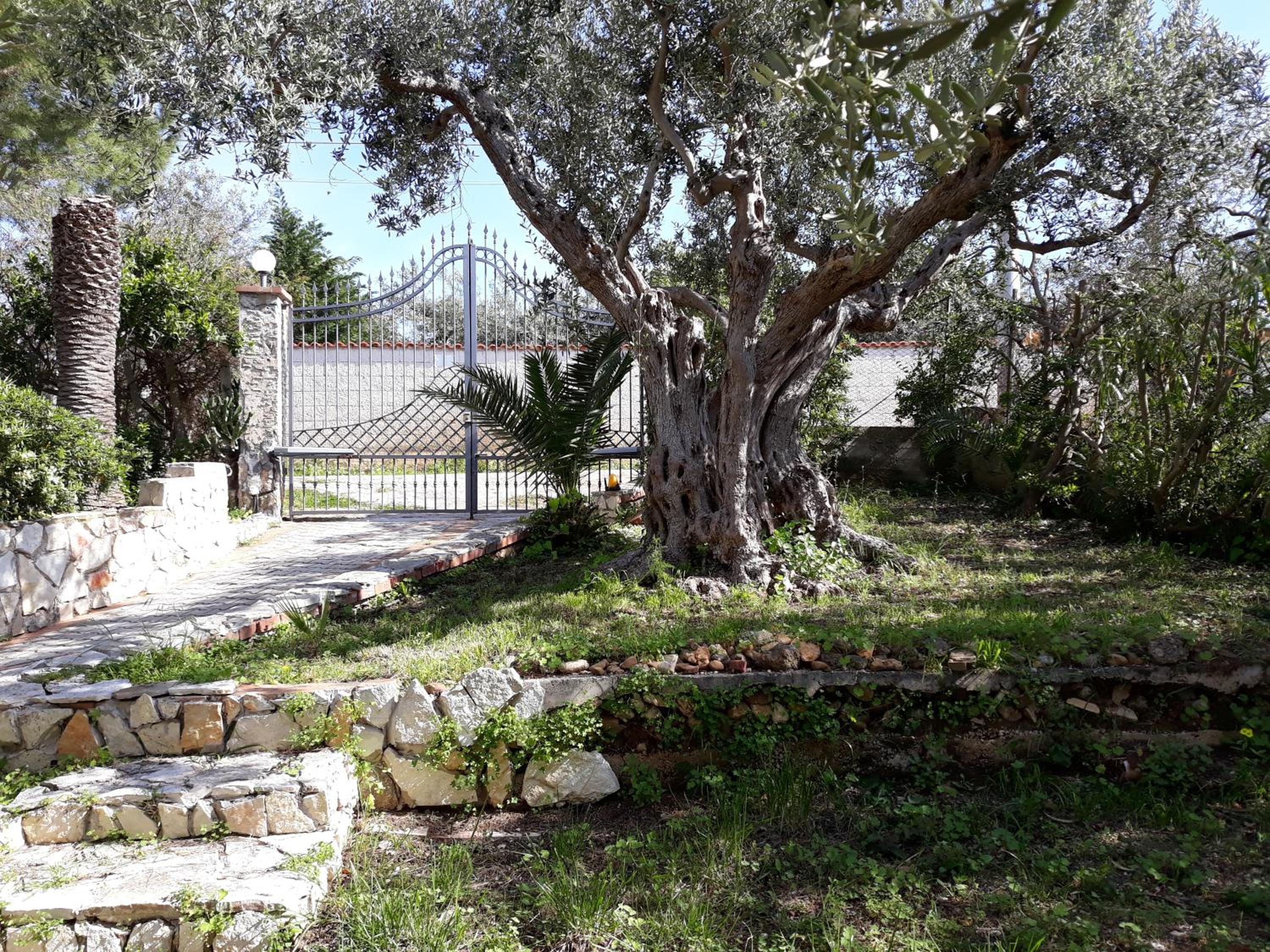 Villa Belvedere Michelle view 4