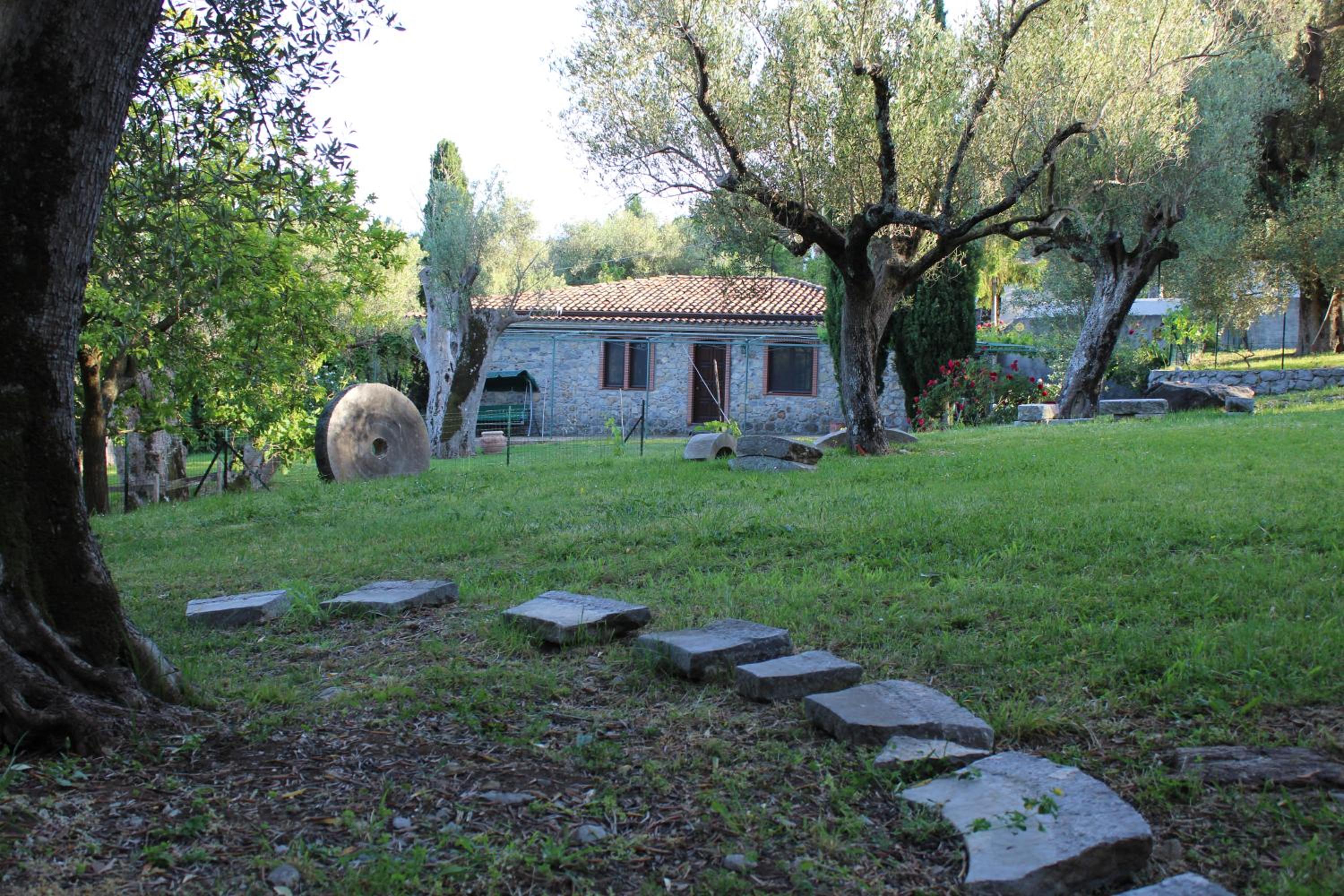 Pie' d'Ulivo