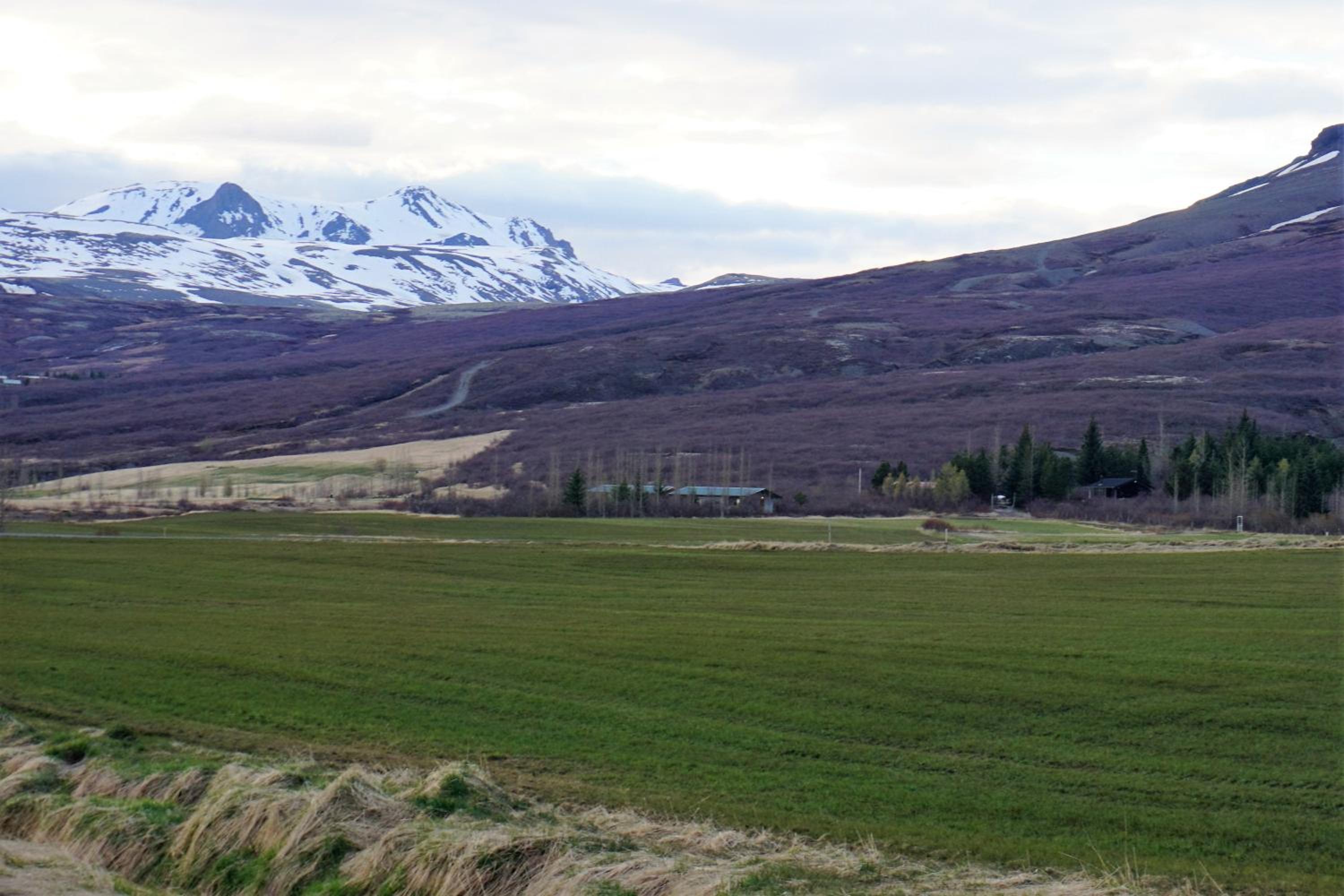 Middalskot Cottages