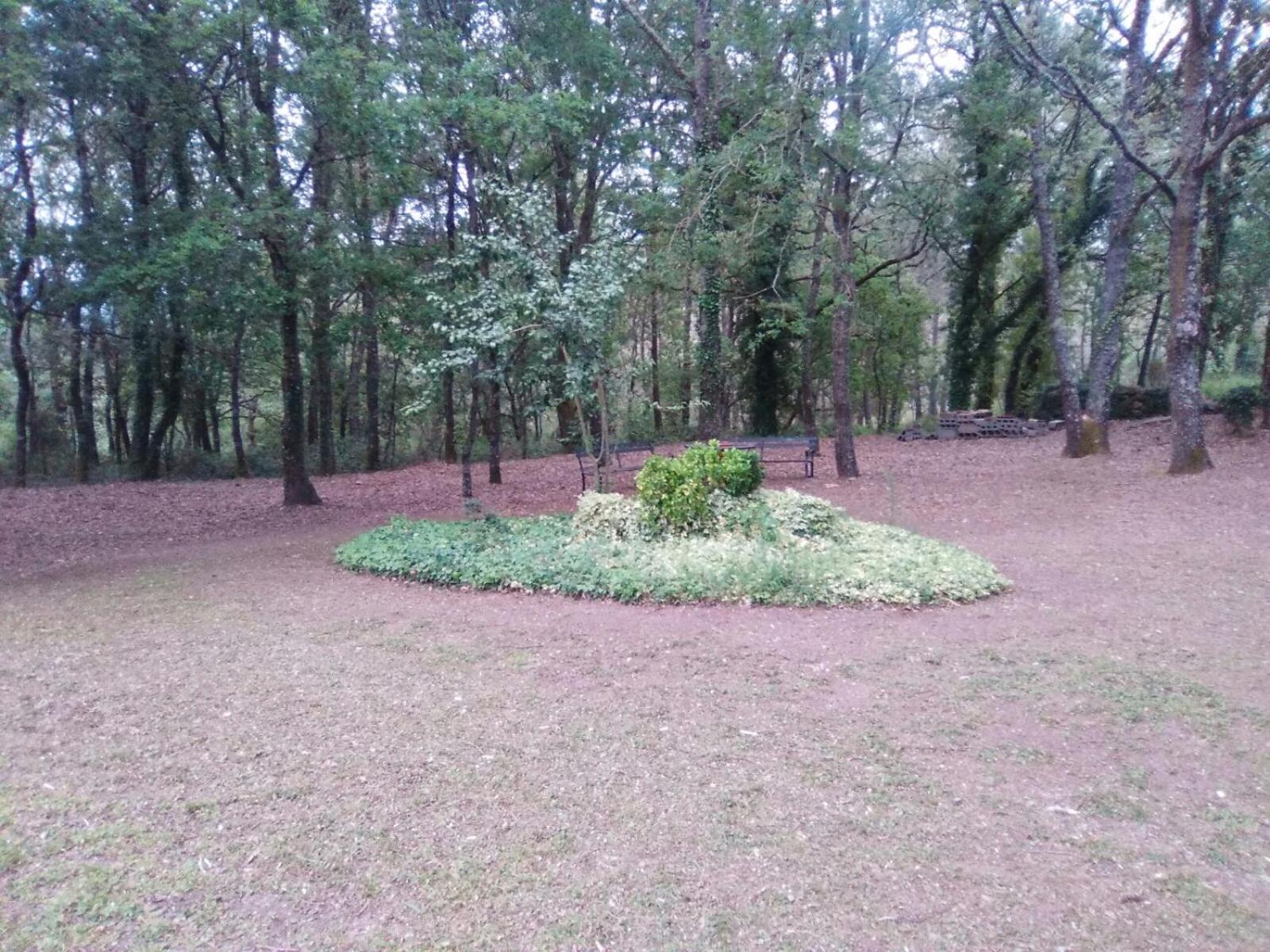 Photo 15