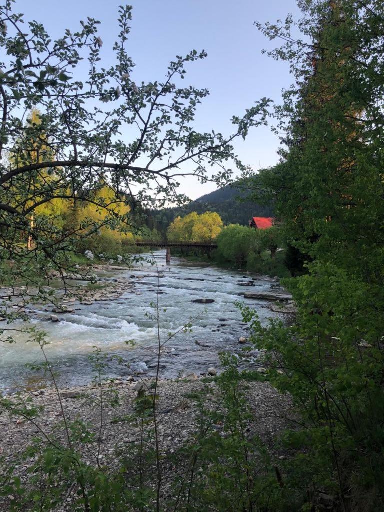 Photo 44