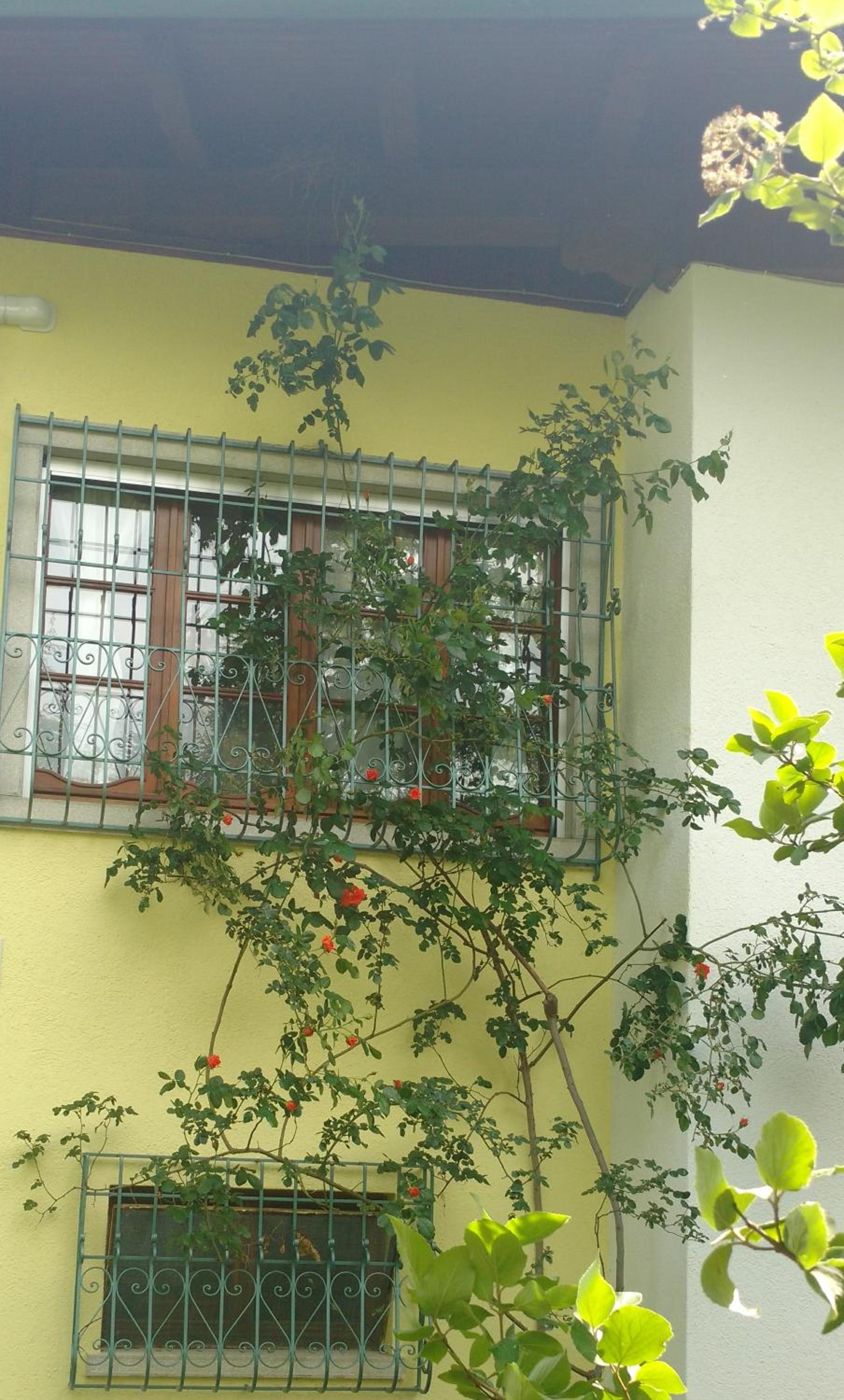 Casa Vacanze Selva view 2
